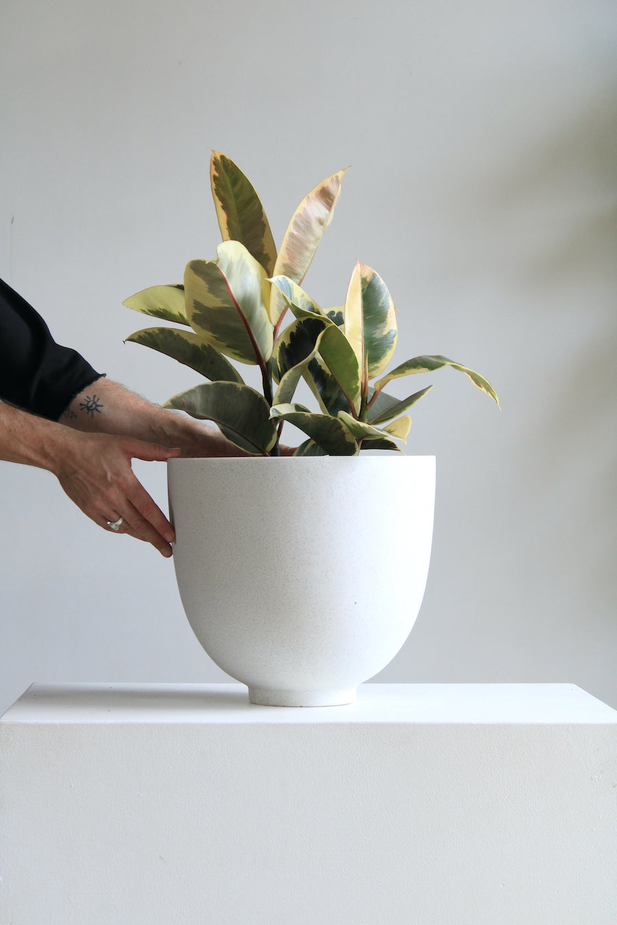 Bandani Planter with Drainage | 10 inch Diameter