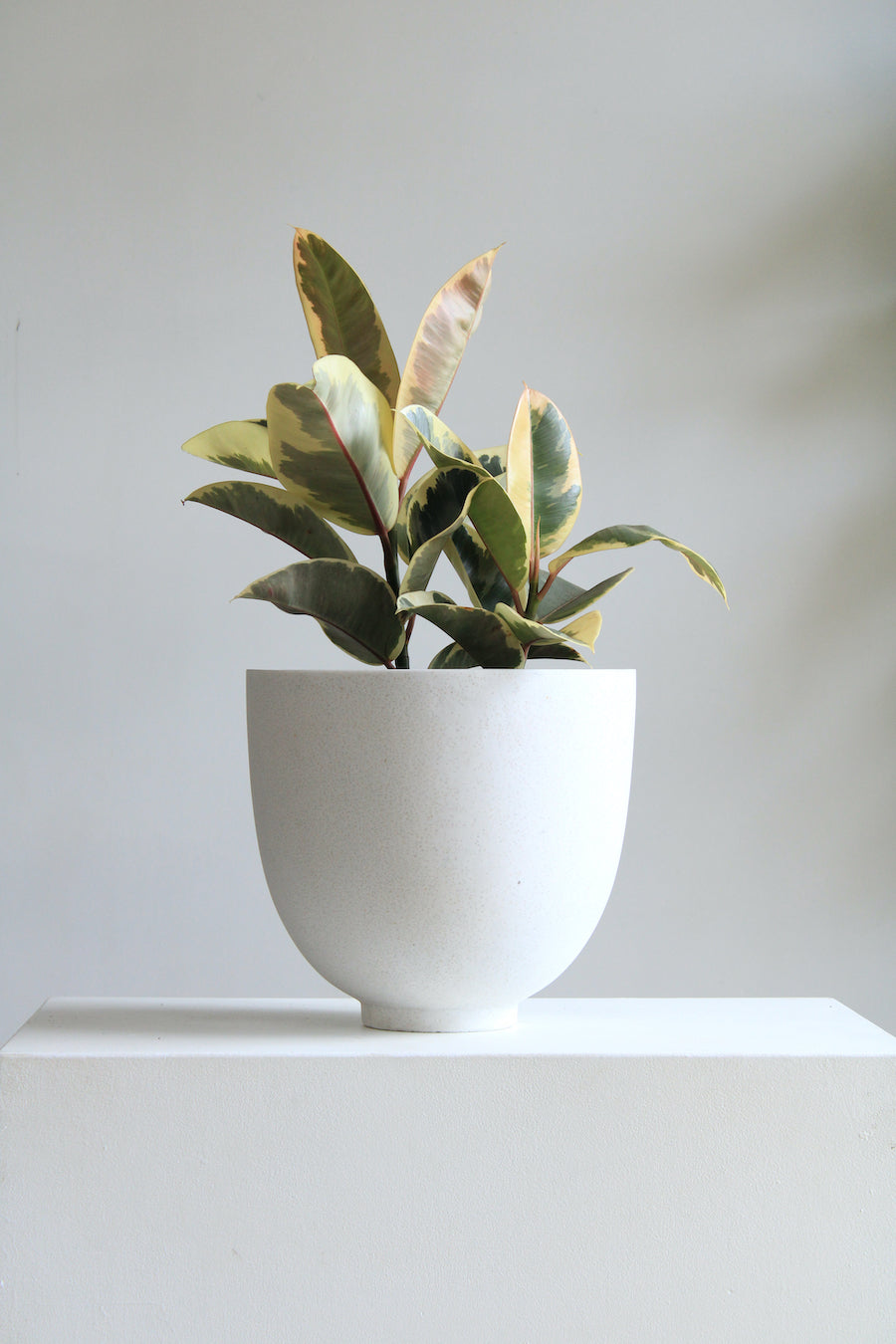Bandani Planter with Drainage | 10 inch Diameter