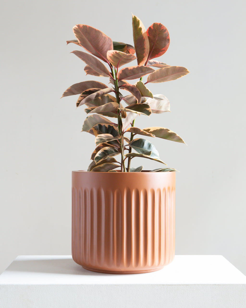 Doric Planter | 10-12 inch Nursery Pot