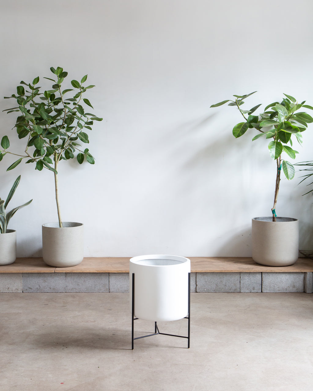 CYLINDRICO - WHITE PLANTER - LARGE 15.7-- FLOOR MODEL FINAL SALE