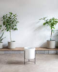 CYLINDRICO - WHITE PLANTER - LARGE 15.7-- FLOOR MODEL FINAL SALE