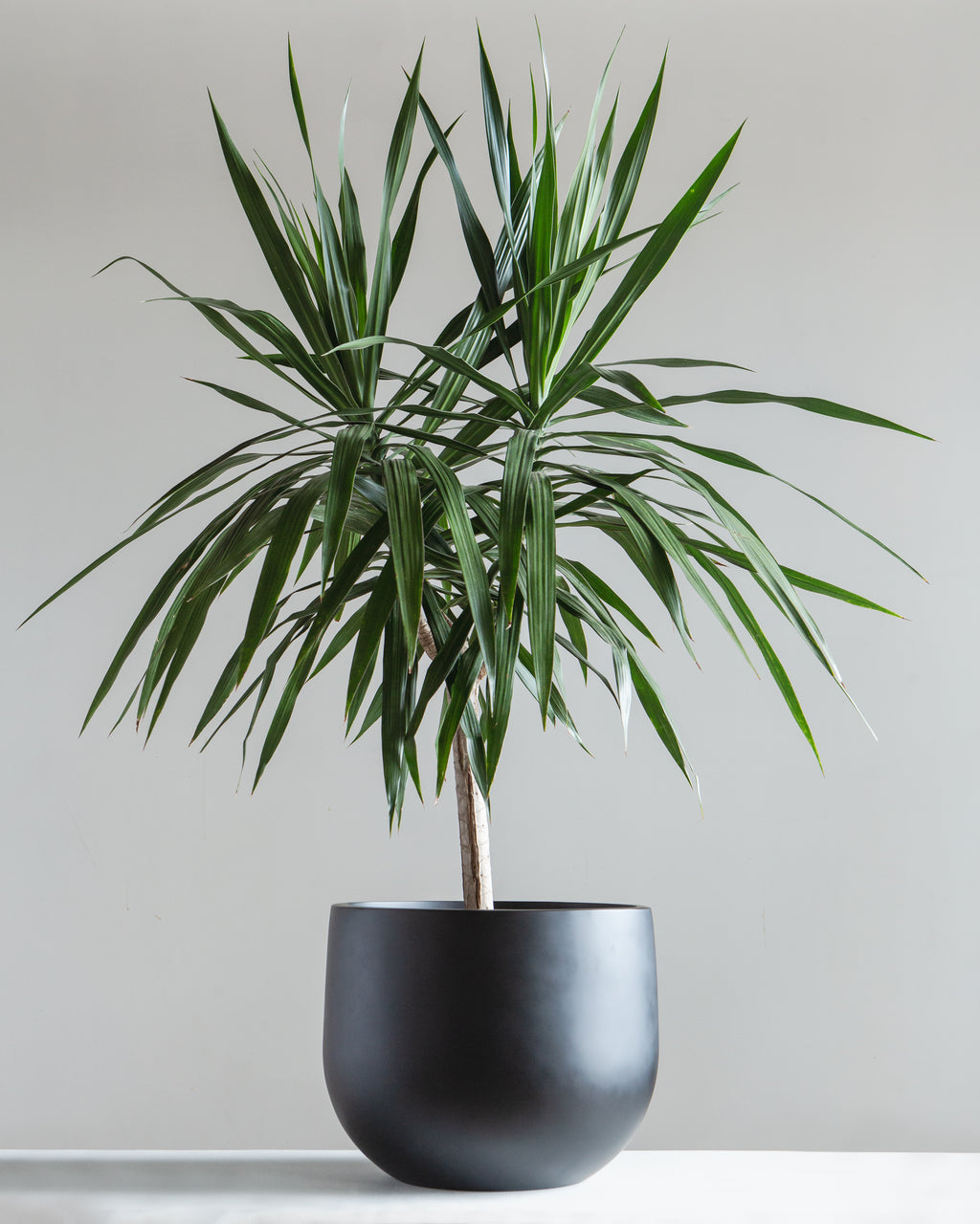 CRATERA - BLACK, Large 16.7 x 16.7 x 13 in