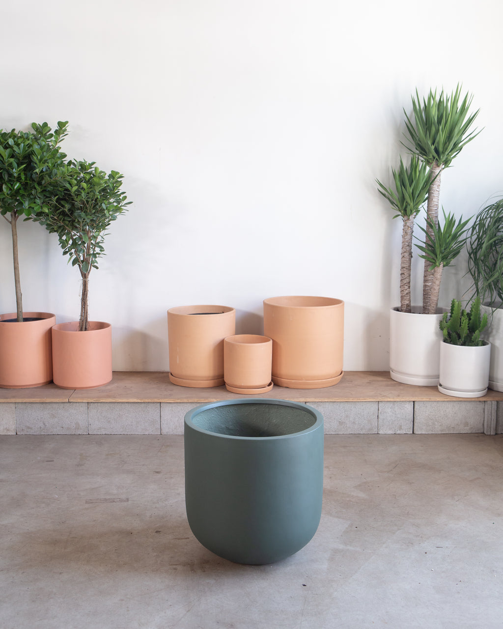 COMMON HOUSE - SAGE PLANTER - Large 19 Inch