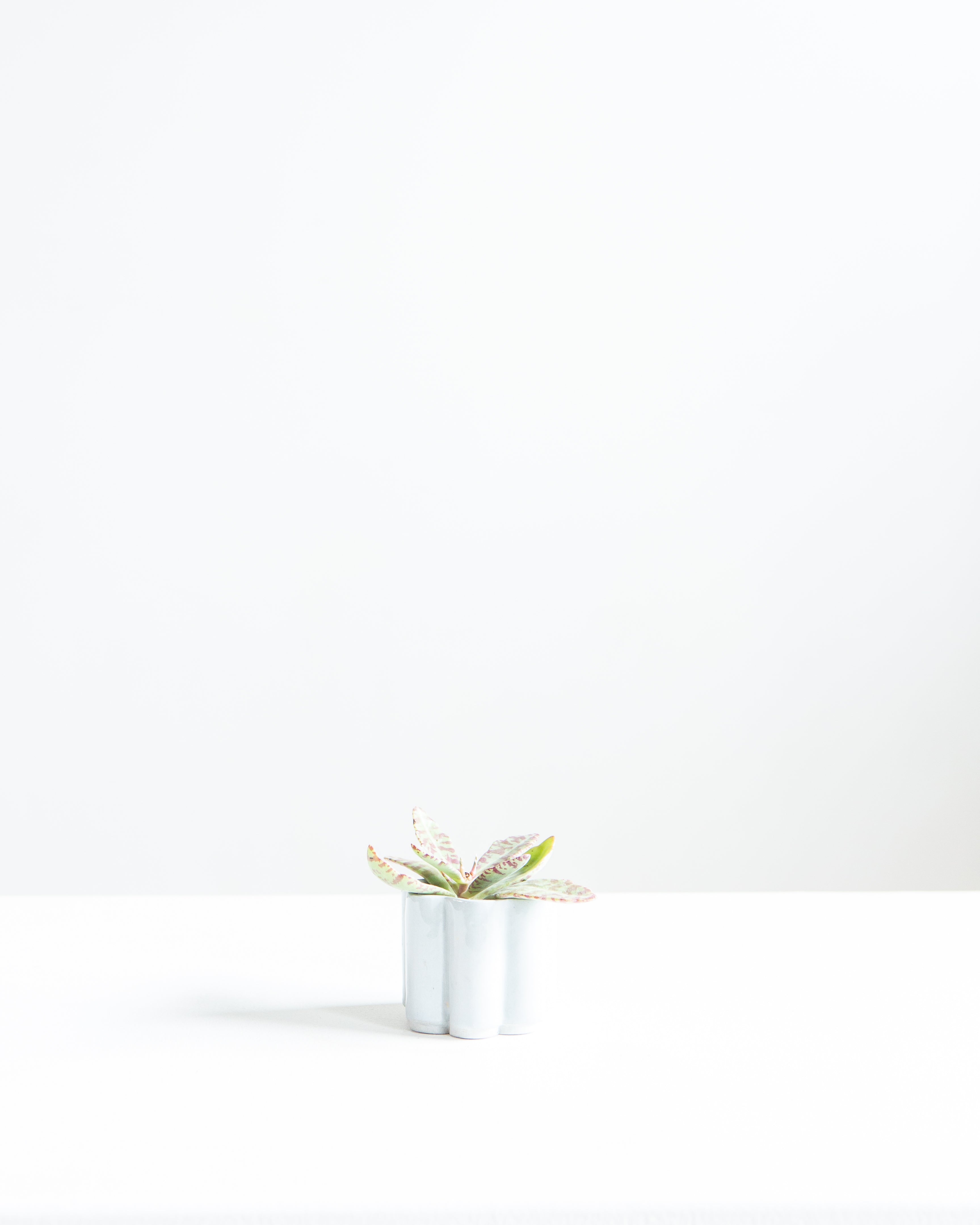 HIGH NOON ARTIST EDITION PLANTER - BABY, Small 2 Inch