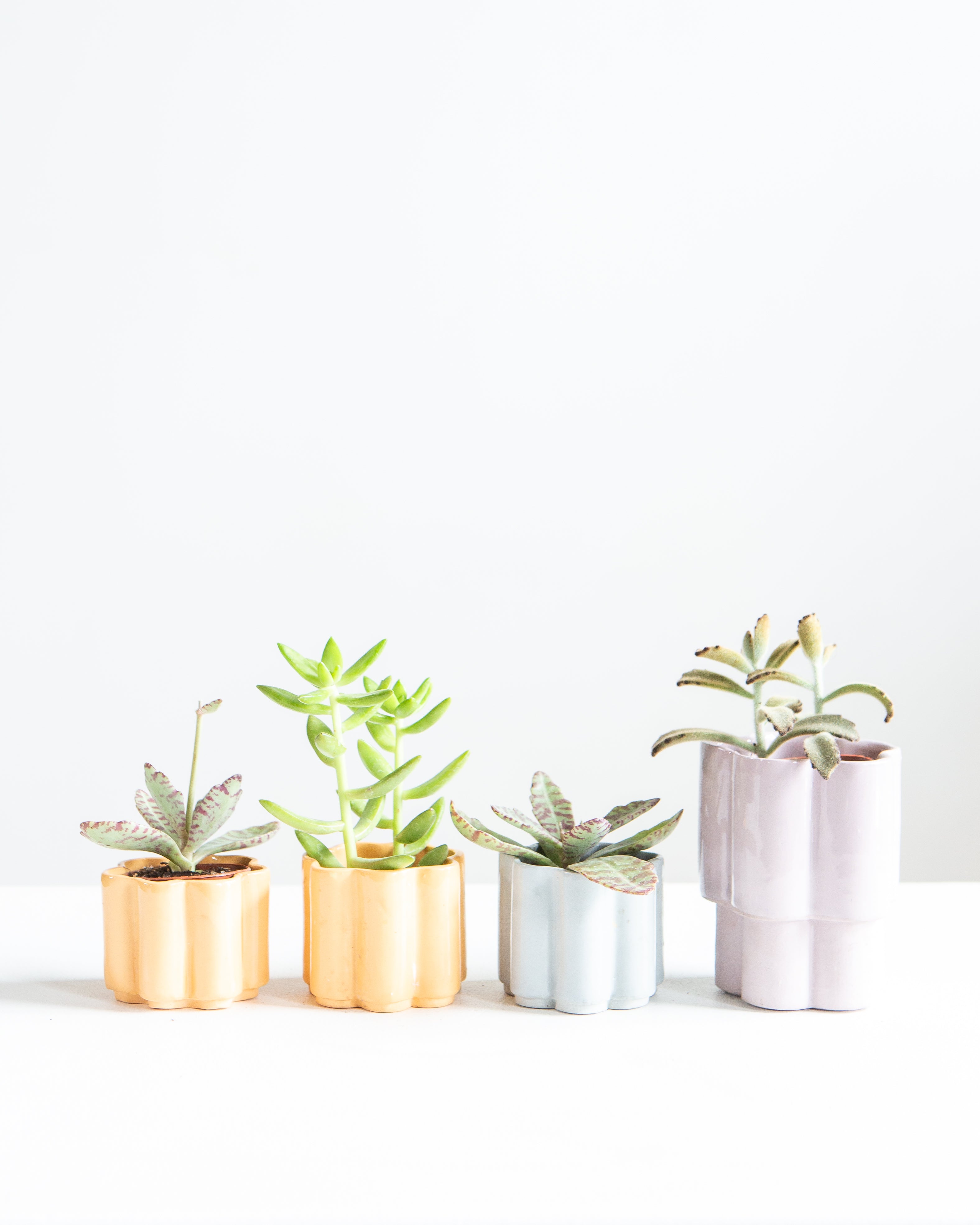 HIGH NOON ARTIST EDITION PLANTER - LAVENDER, Small 2 Inch