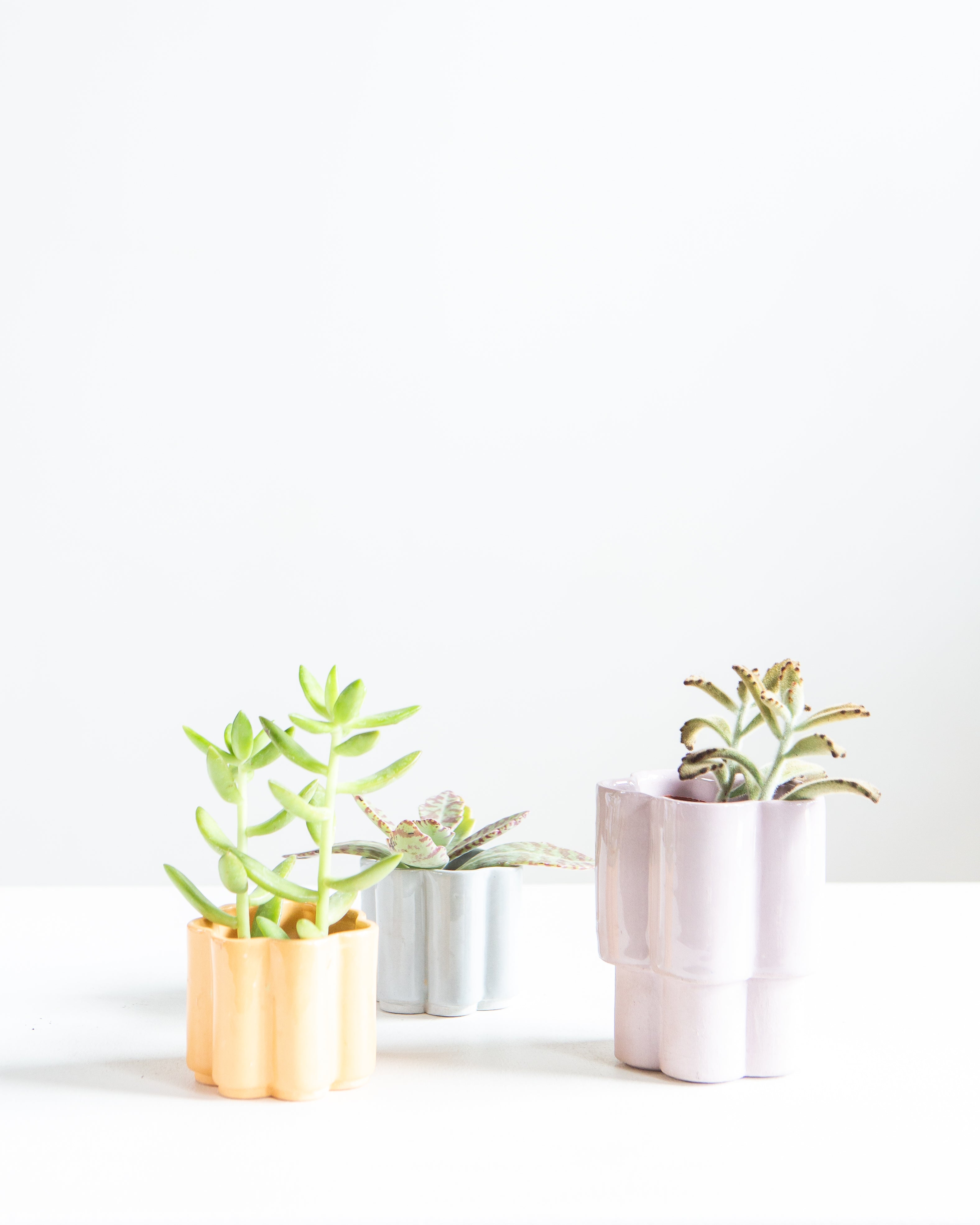 HIGH NOON ARTIST EDITION PLANTER - TANGERINE, Small 2 Inch
