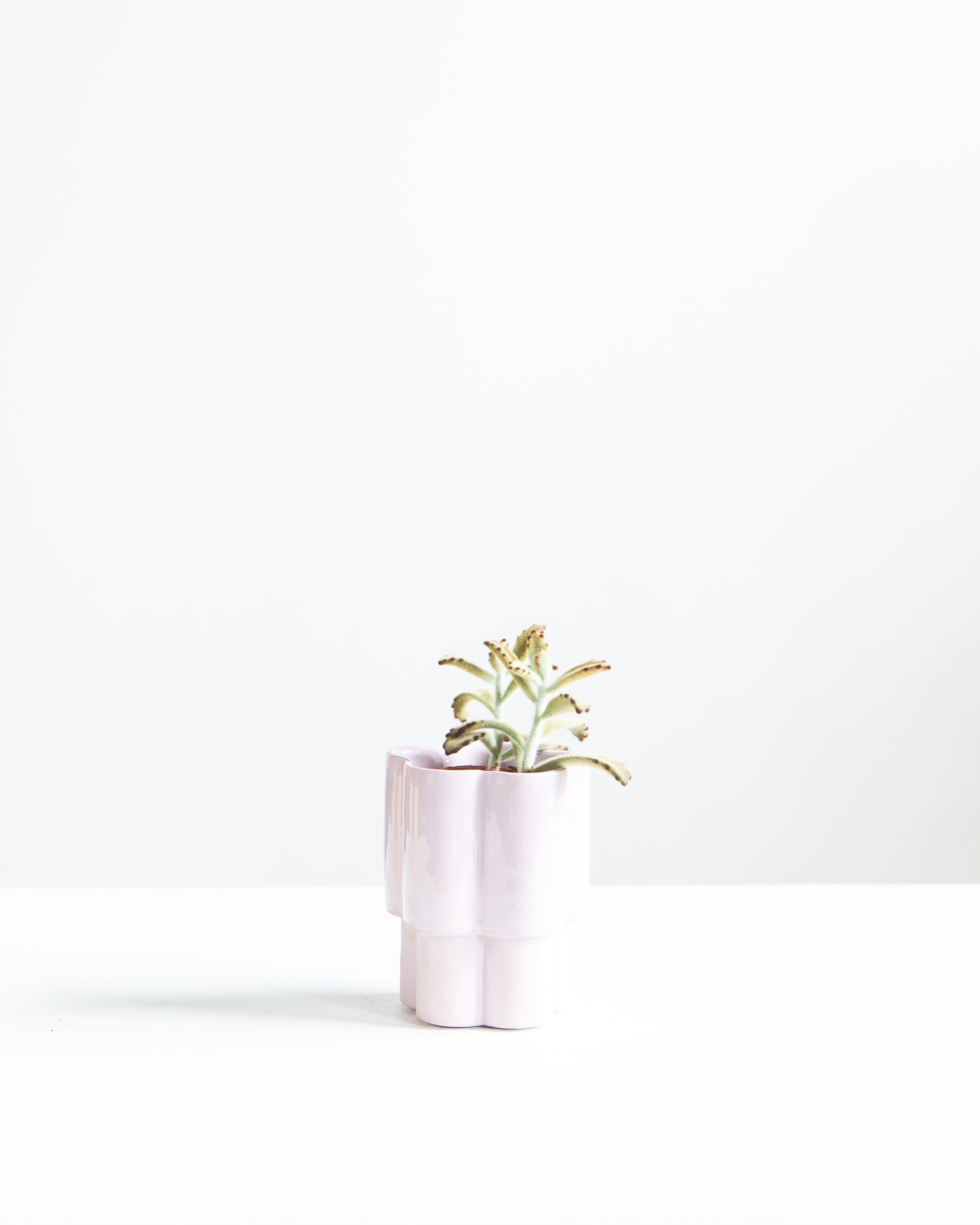 HIGH NOON ARTIST EDITION PLANTER - LAVENDER, Small 2 Inch