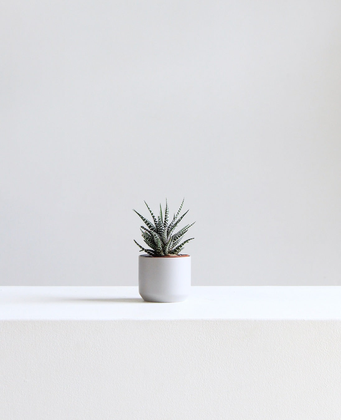 Kendall Ceramic Pot | 2.5 inch Nursery Pot