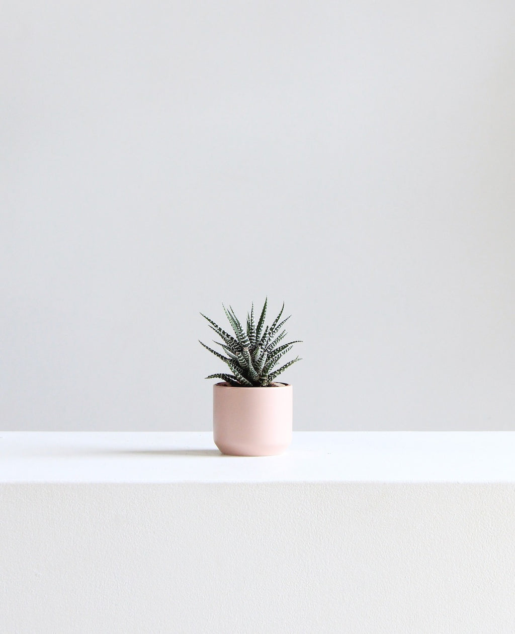 Kendall Ceramic Pot | 2.5 inch Nursery Pot