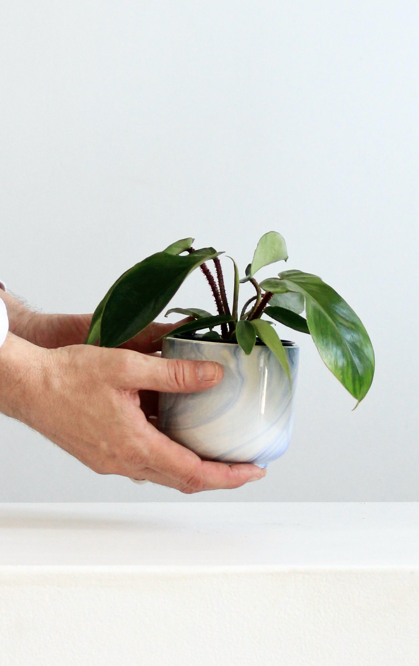 CASPIAN PLANTER, Small 3.75 X 3.5 Inch