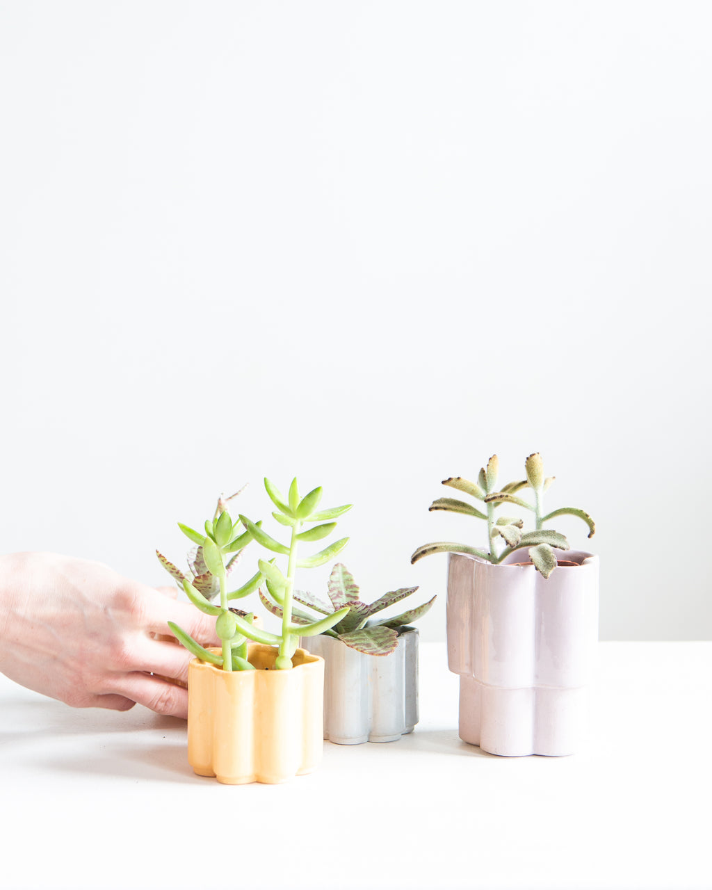 HIGH NOON ARTIST EDITION PLANTER - LAVENDER, Small 2 Inch