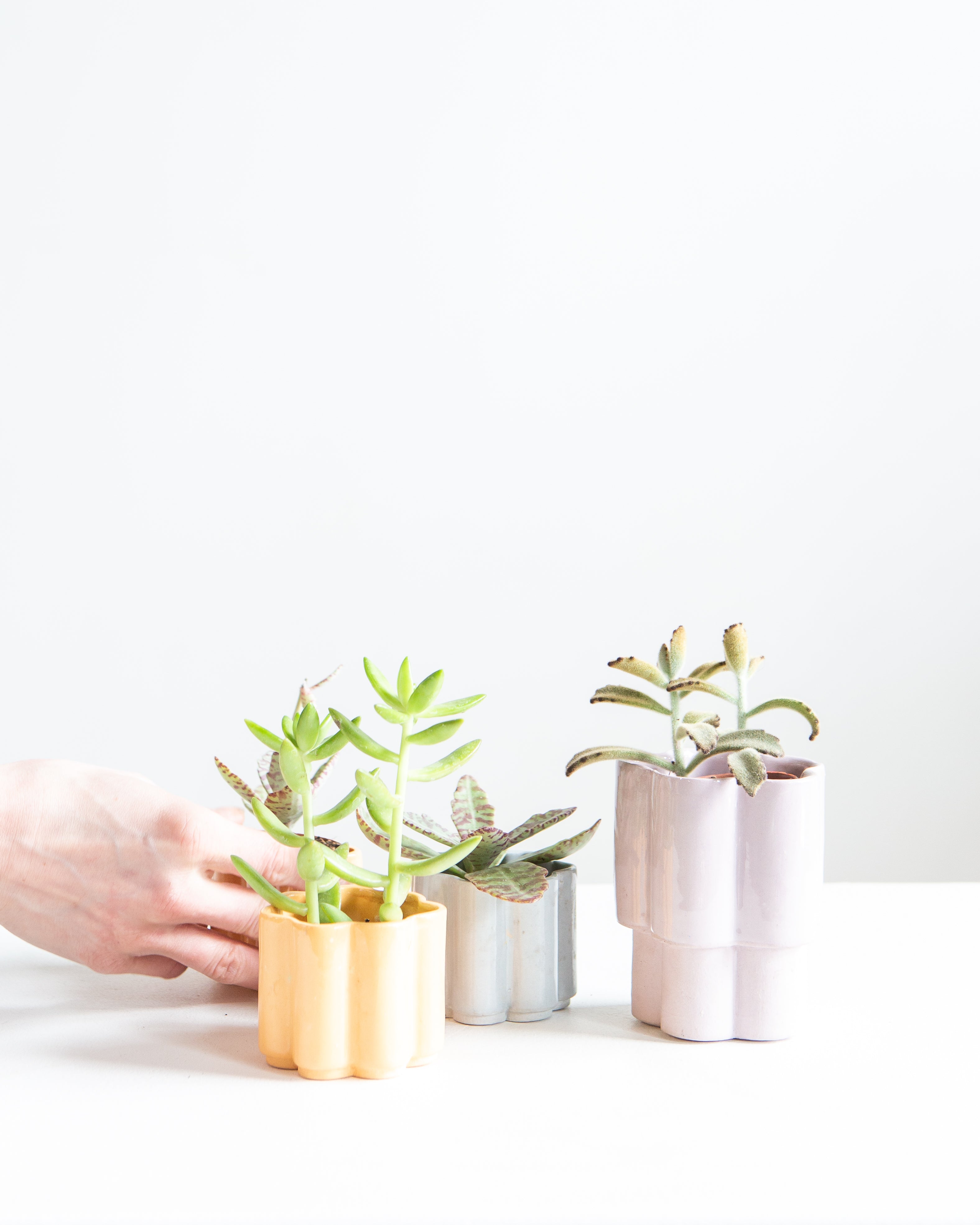 HIGH NOON ARTIST EDITION PLANTER - LAVENDER, Small 2 Inch