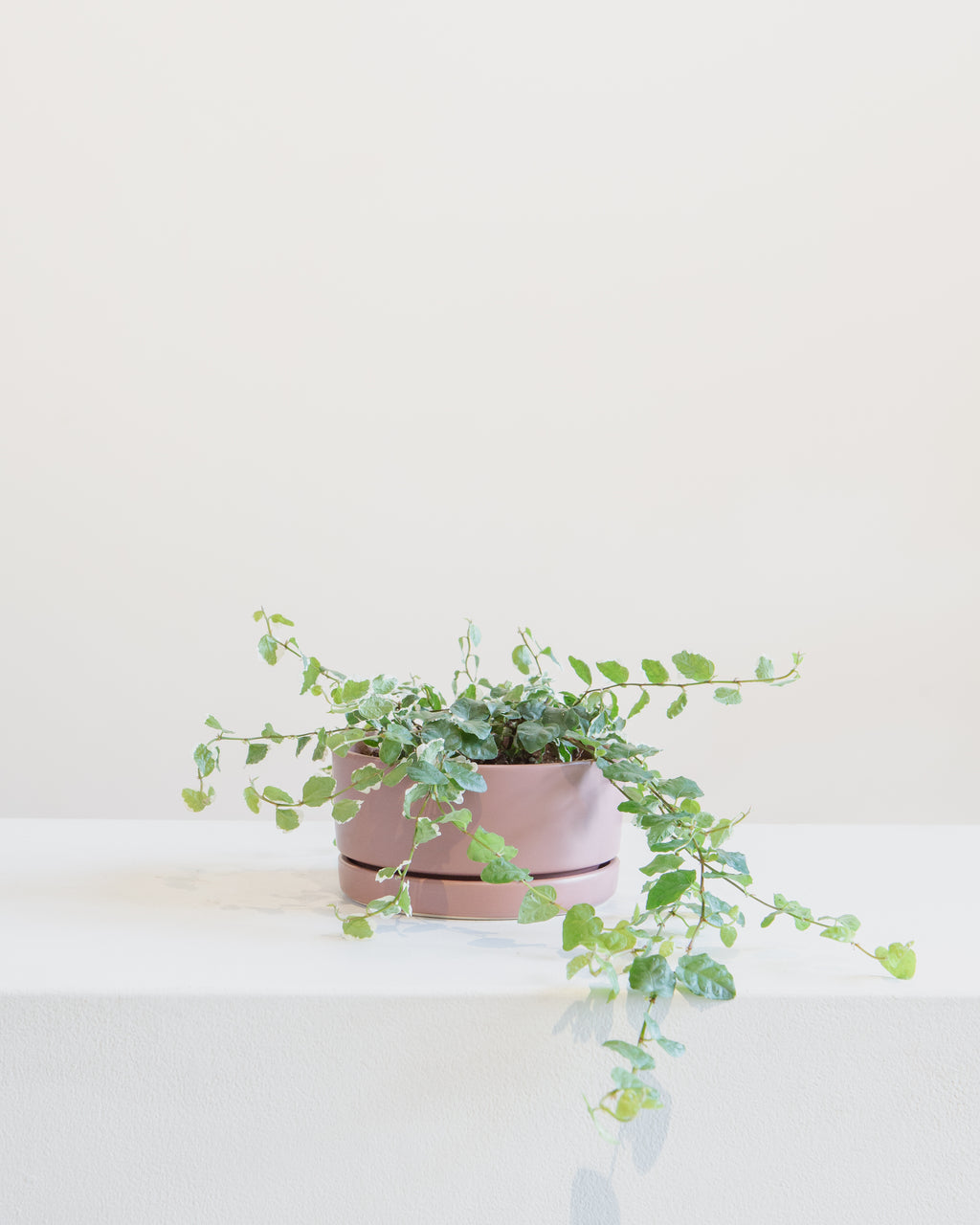 Small 6 Inch MOMMA POTS LOW BOWL - DUSTY ROSE