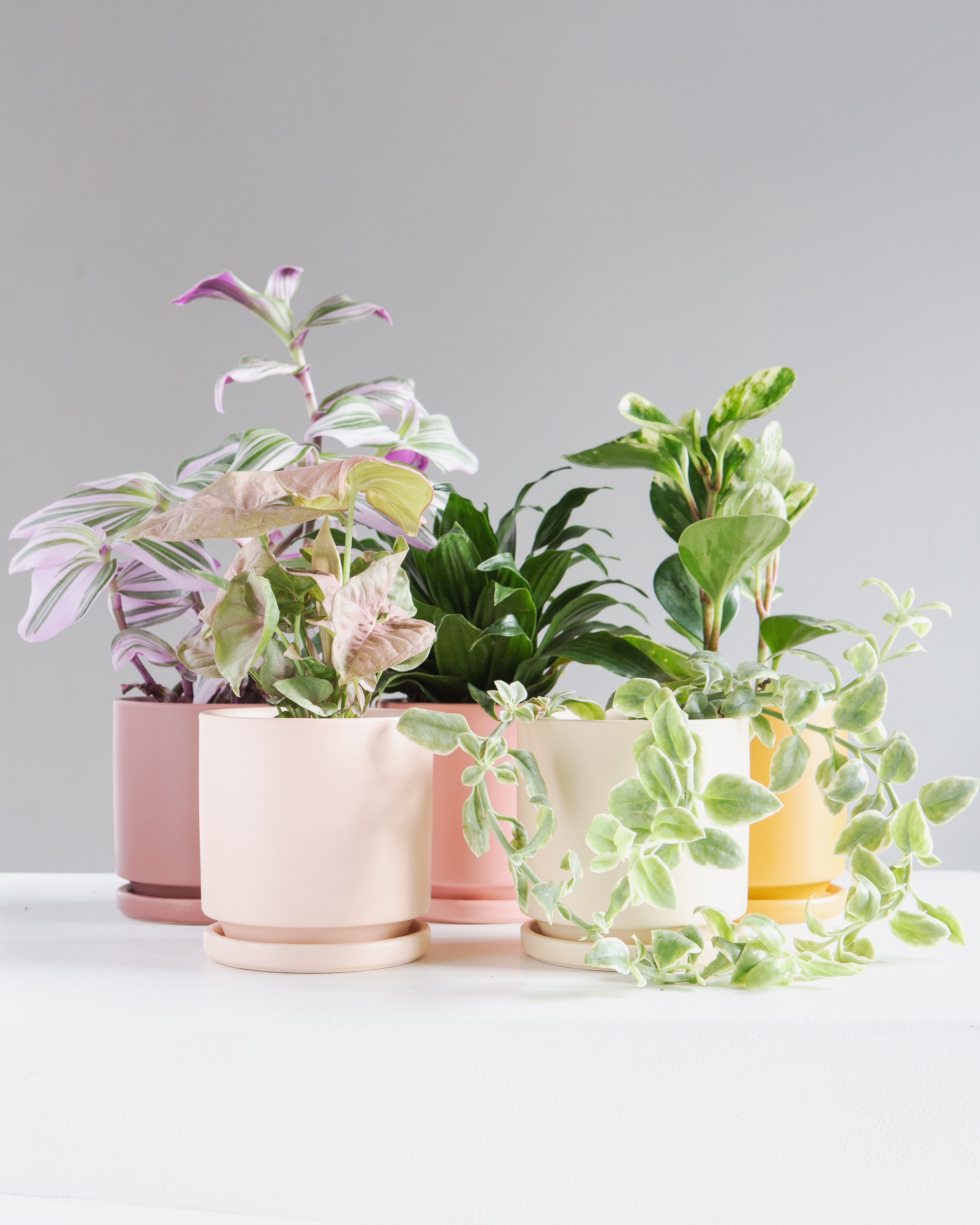 Small 4 Inch MOMMA POTS CYLINDER - BUBBLEGUM