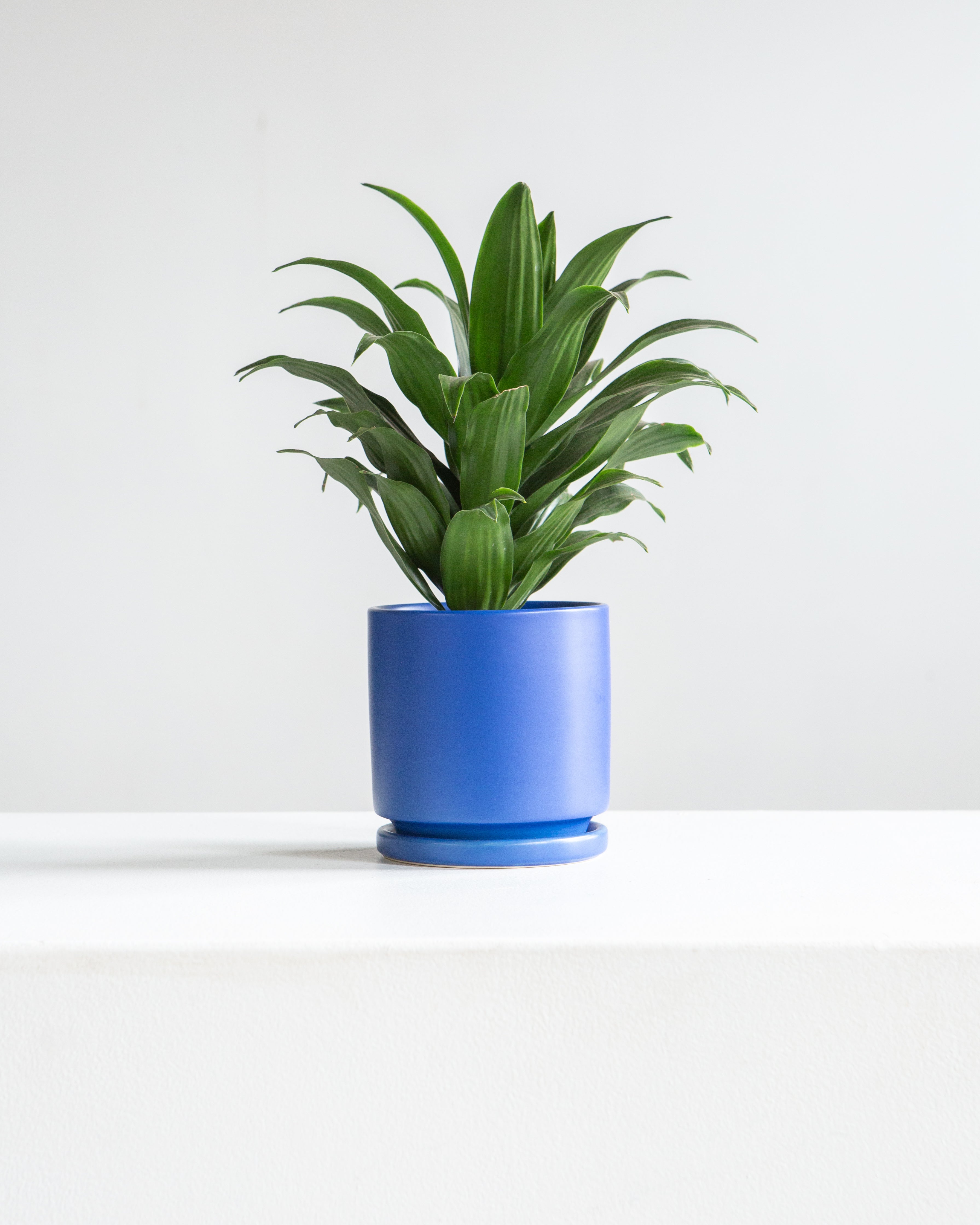Small 4 Inch MOMMA POTS CYLINDER - INK BLUE