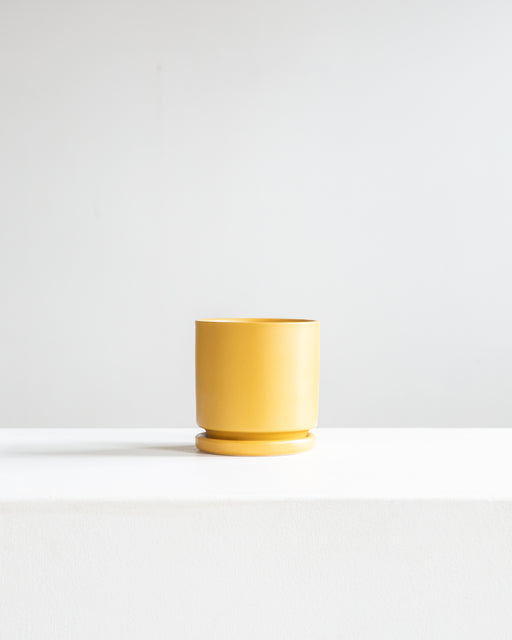 Small 4 Inch MOMMA POTS CYLINDER - MUSTARD