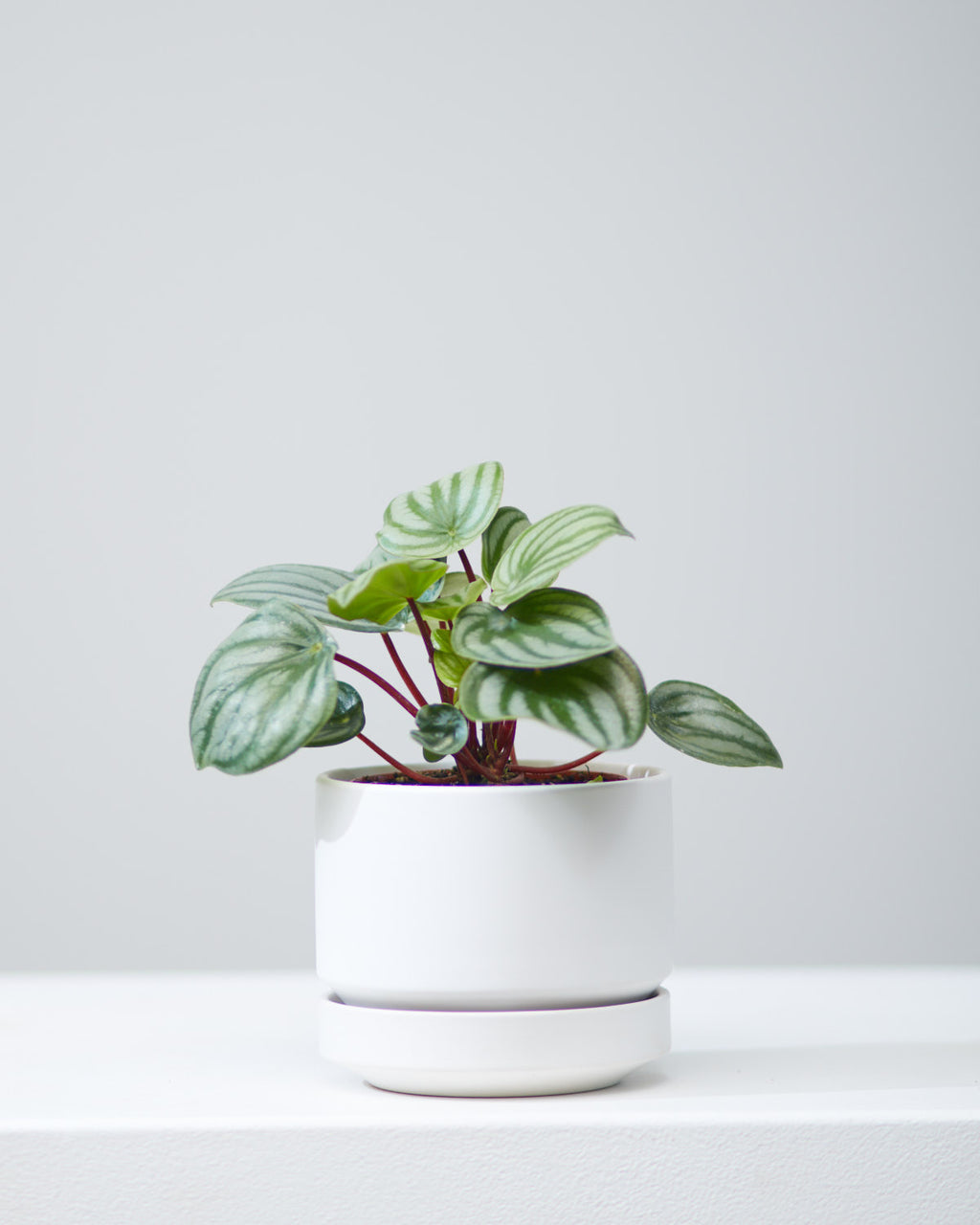 4 Inch REVIVAL CERAMICS ROUND TWO - WHITE - Small