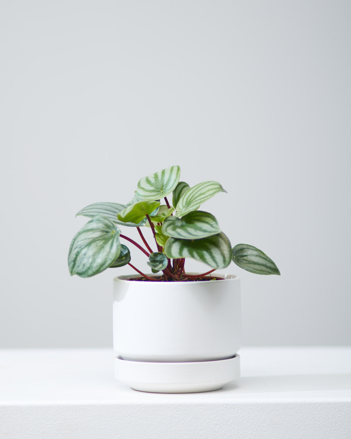 4 Inch REVIVAL CERAMICS ROUND TWO - WHITE - Small
