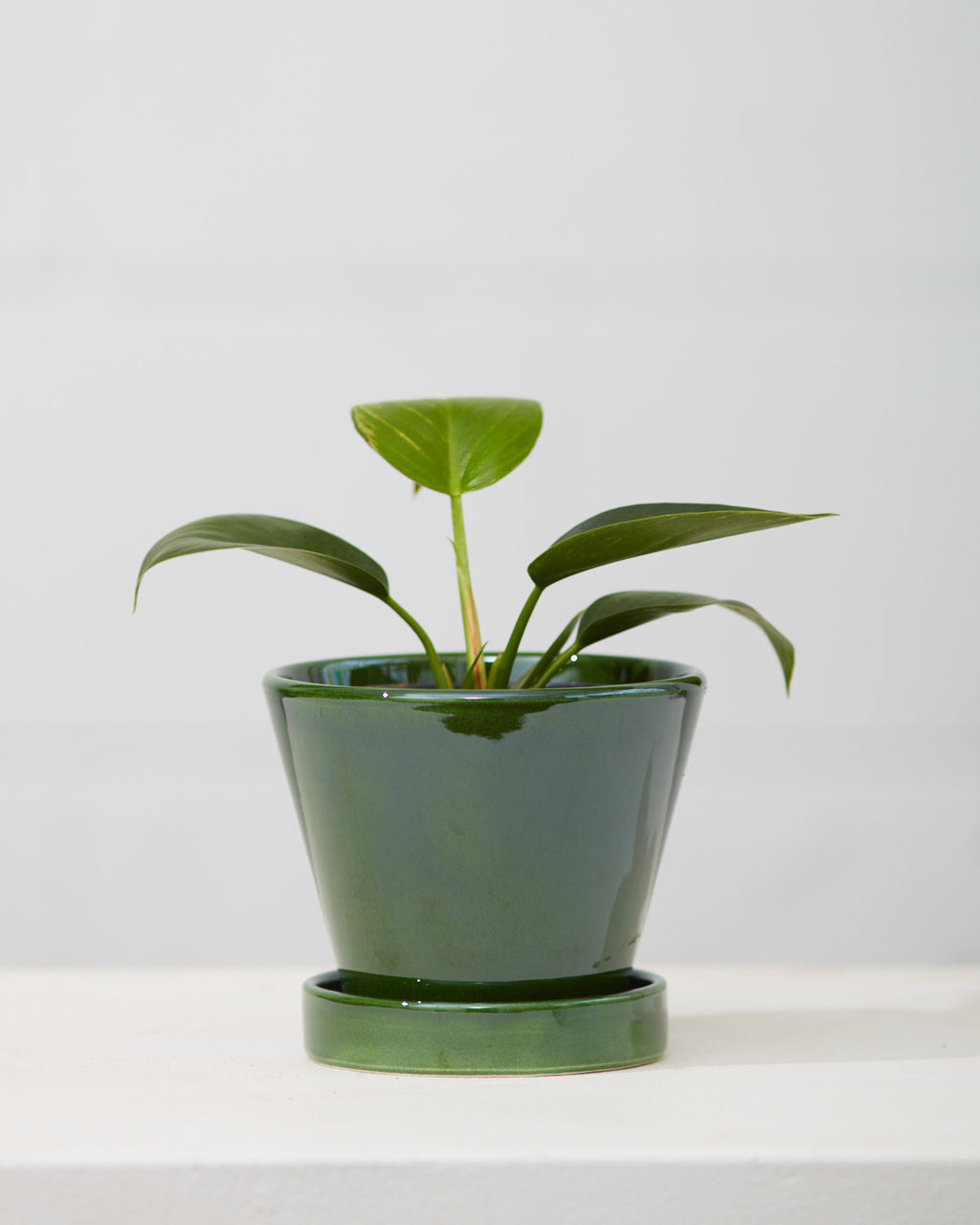 4.3 Inch BERGS POTTER 'JULIE' EMERALD GREEN