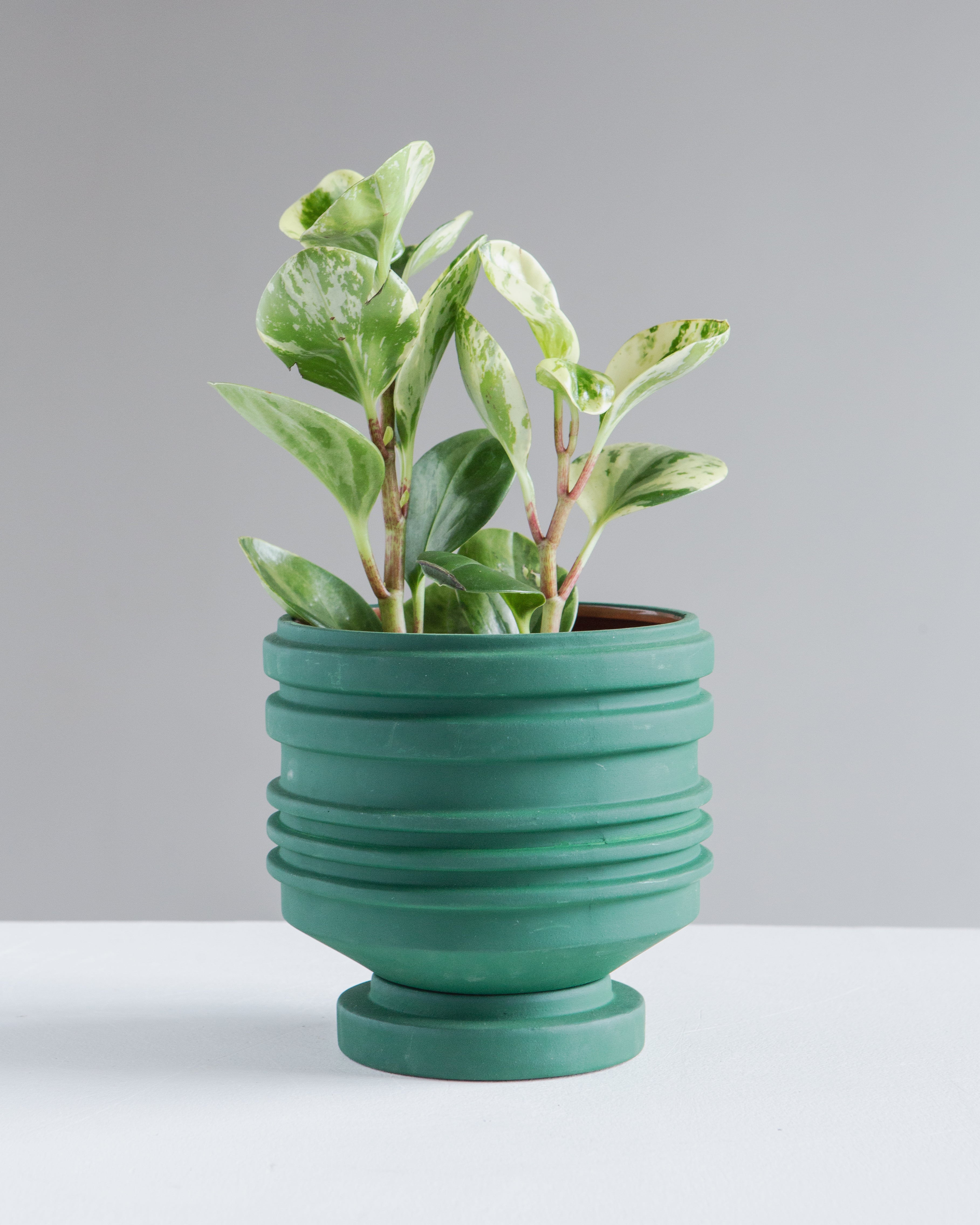 AREAWARE STRATA PLANTER GREEN 5.9 Inch