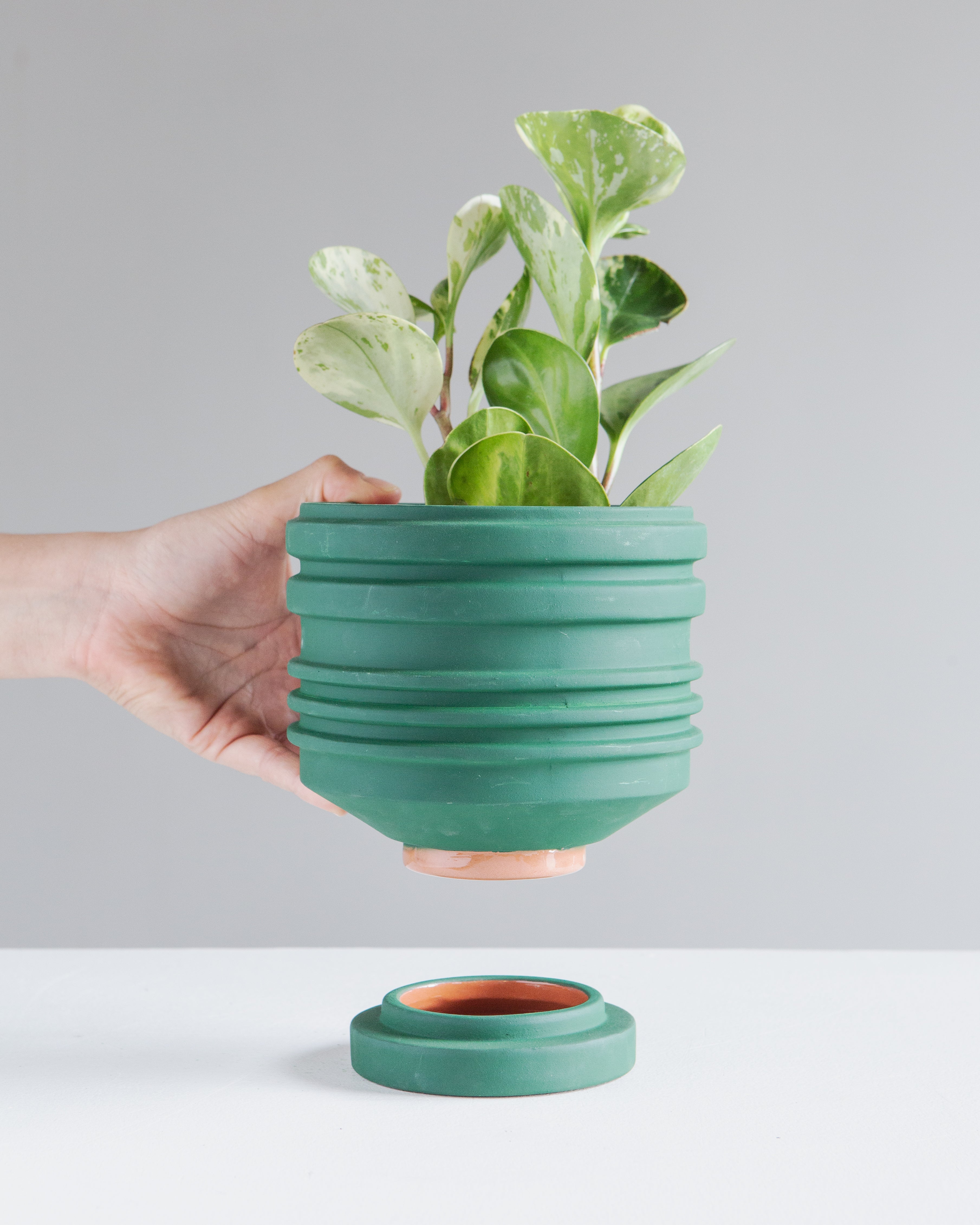 AREAWARE STRATA PLANTER GREEN 5.9 Inch