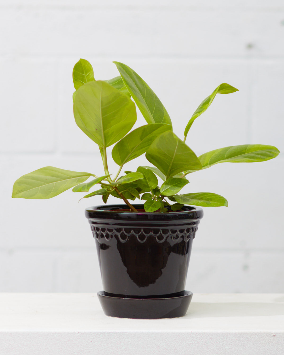6.3 Inch BERGS POTTER 'COPENHAGEN' BLACK