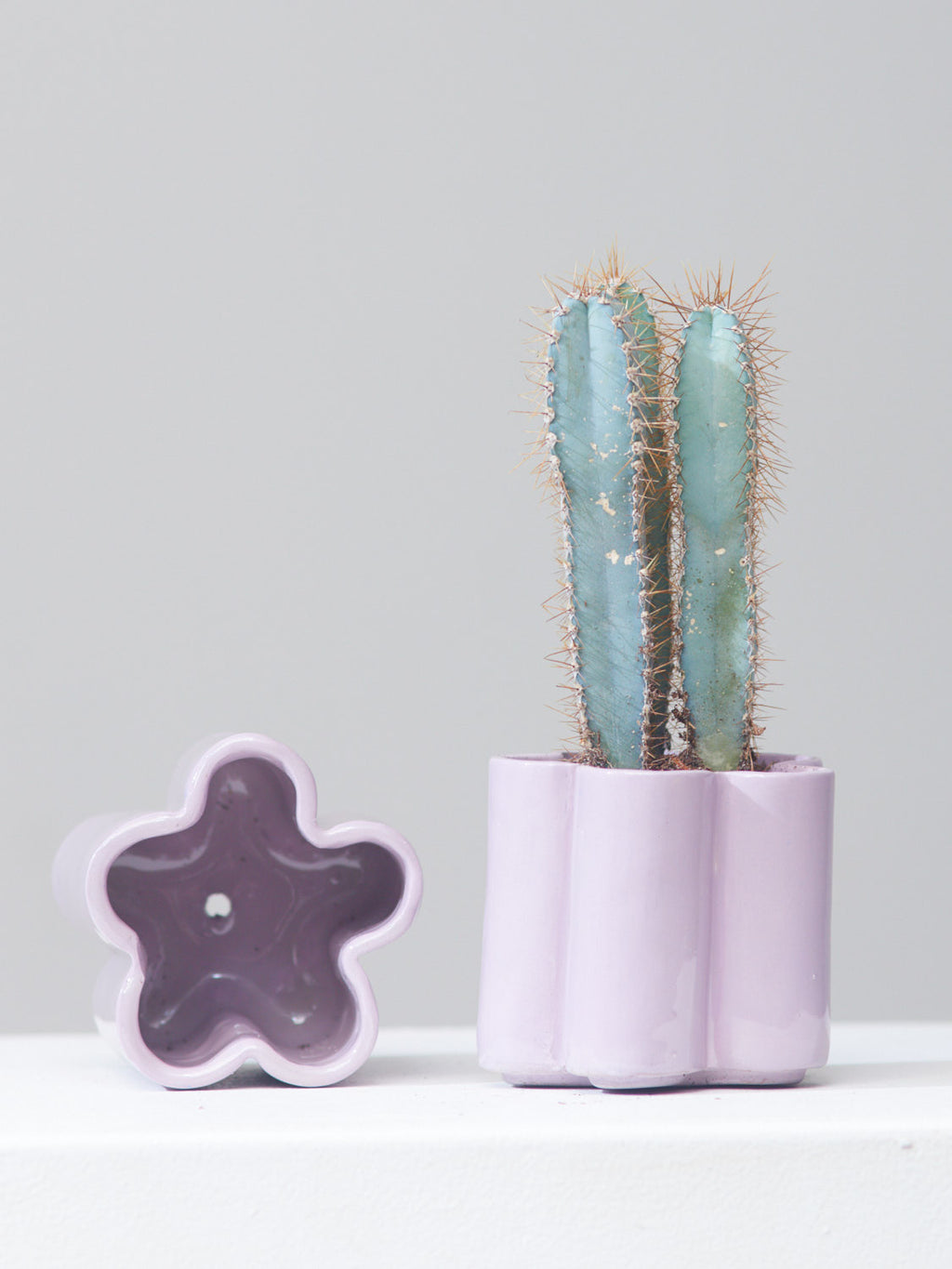 *PRE-ORDER* HIGH NOON ARTIST EDITION PLANTER - LAVENDER, Small 5 Inch