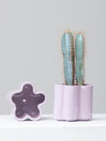 *PRE-ORDER* HIGH NOON ARTIST EDITION PLANTER - LAVENDER, Small 5 Inch