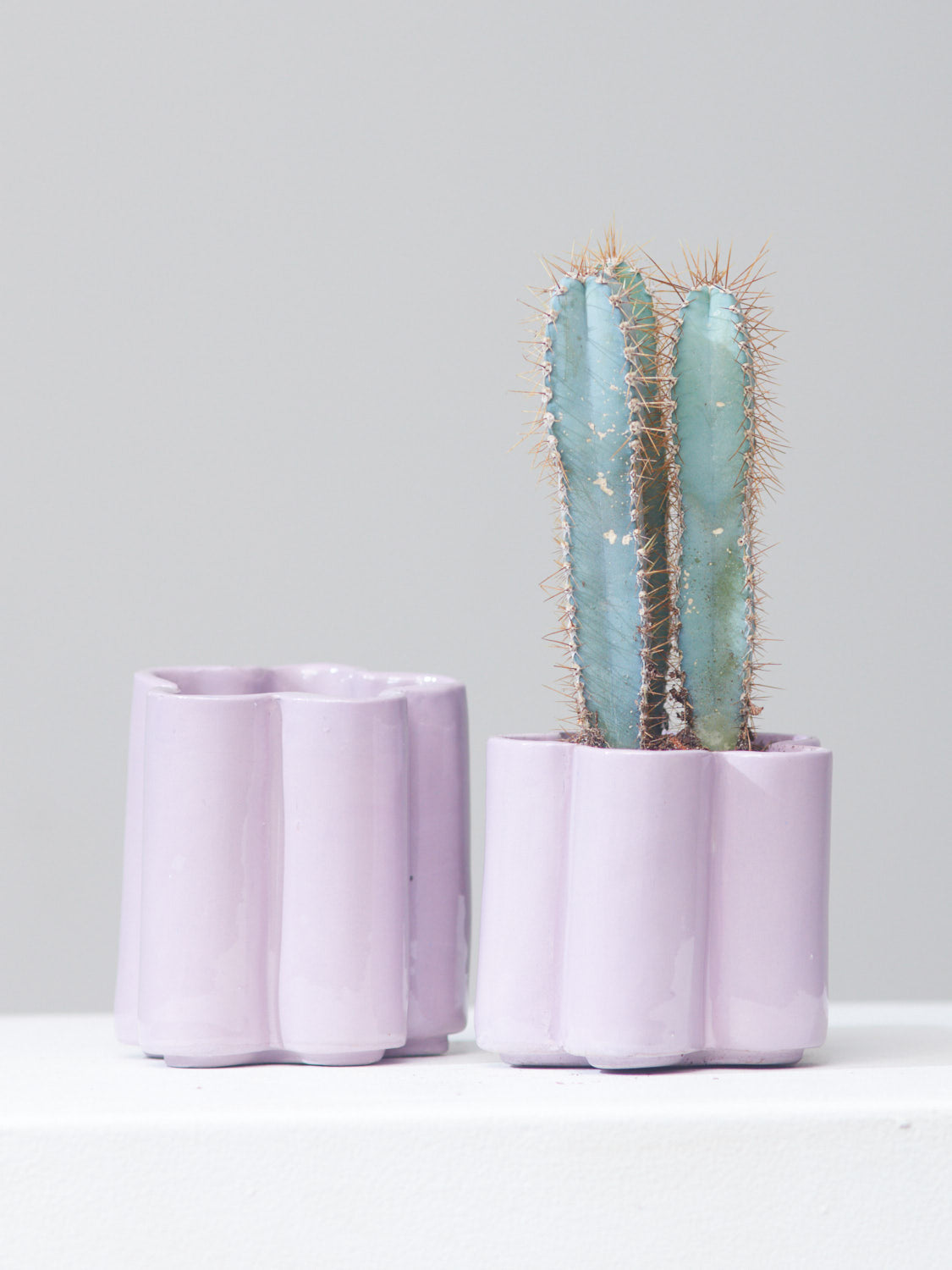 *PRE-ORDER* HIGH NOON ARTIST EDITION PLANTER - LAVENDER, Small 5 Inch