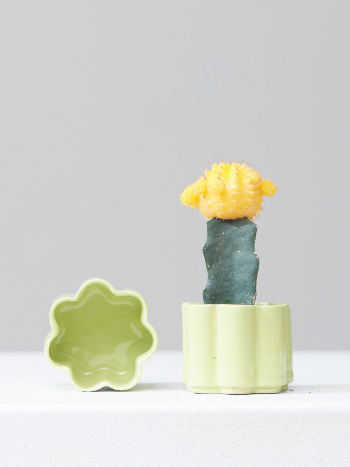 HIGH NOON ARTIST EDITION PLANTER - MATCHA, Small 2 Inch