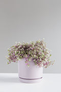 6 Inch MOMMA POTS CYLINDER - LAVENDER