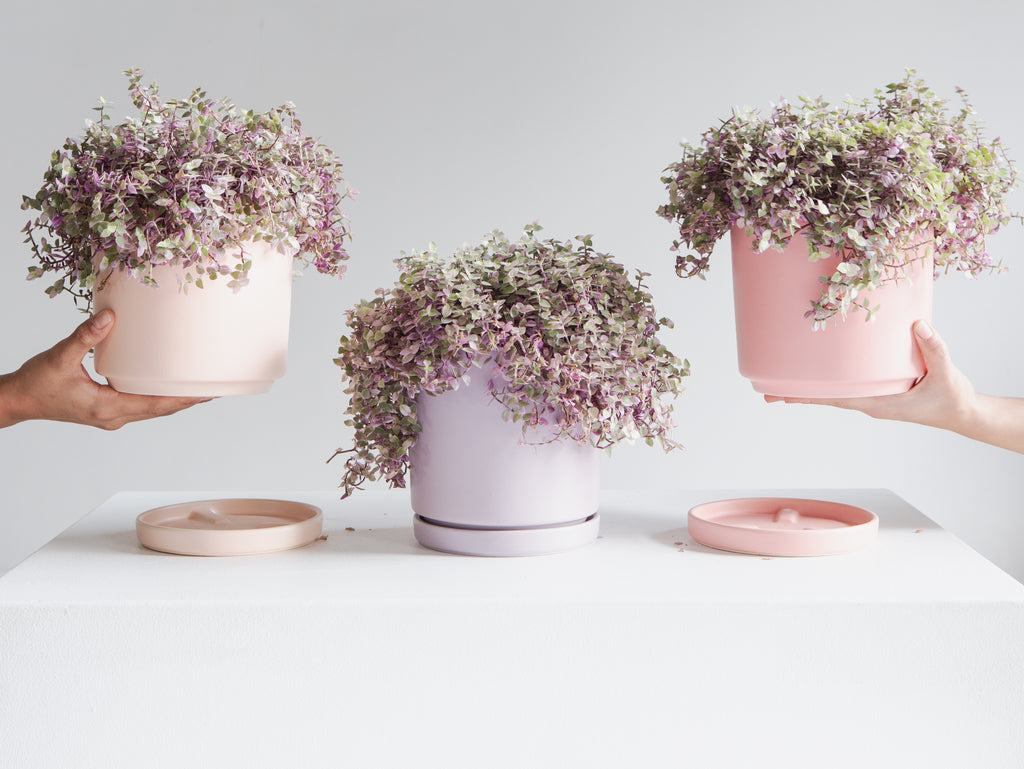 Small 6 Inch MOMMA POTS CYLINDER - DUSTY ROSE