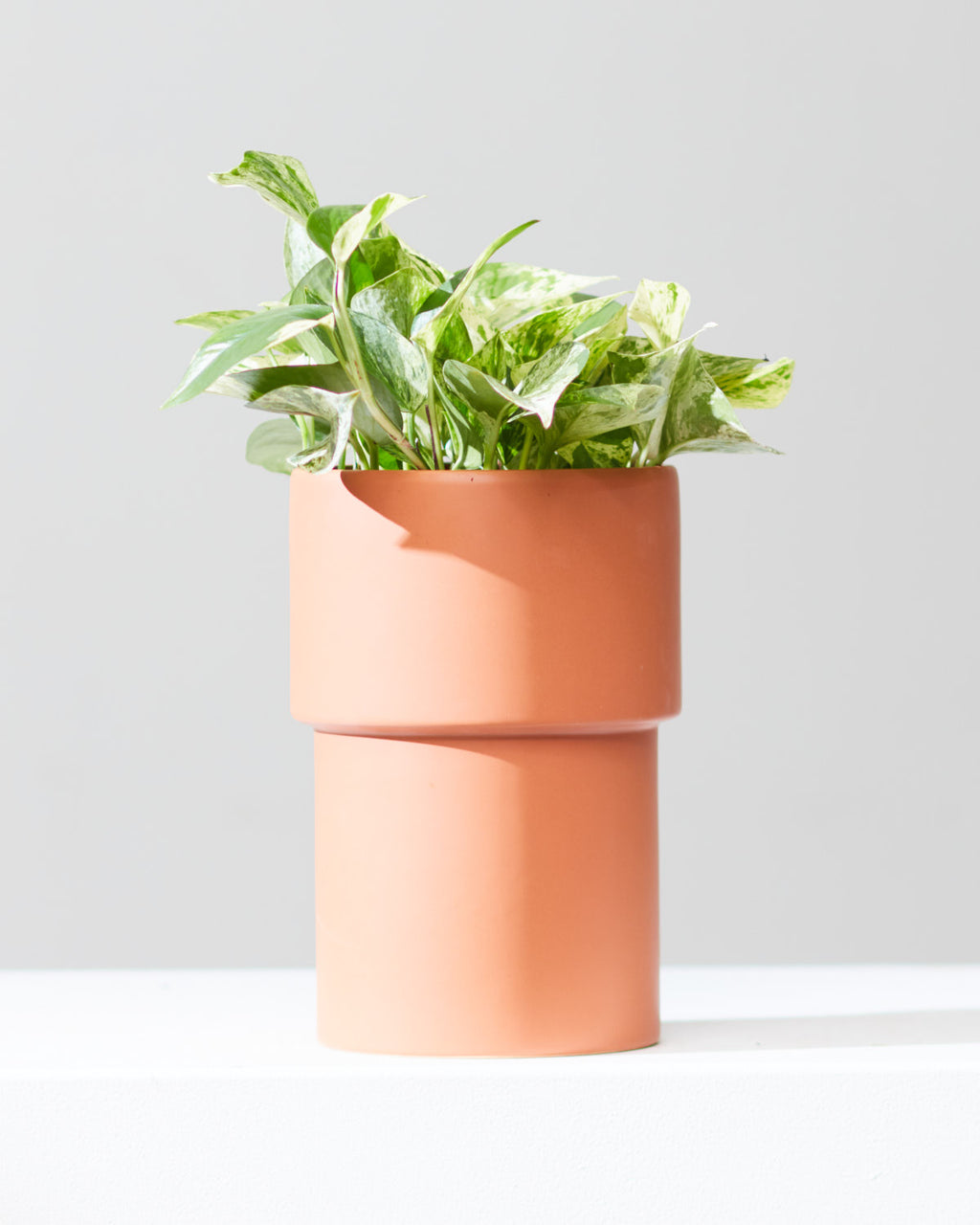 Vermillion Planter | 6 inch Nursery Pot