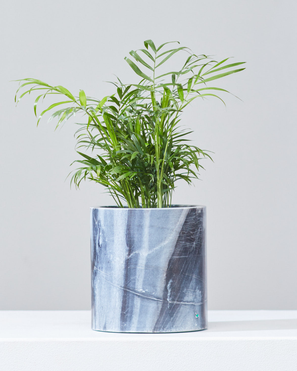 MARBLE PLANTER Grey, Small 5.5 Inch