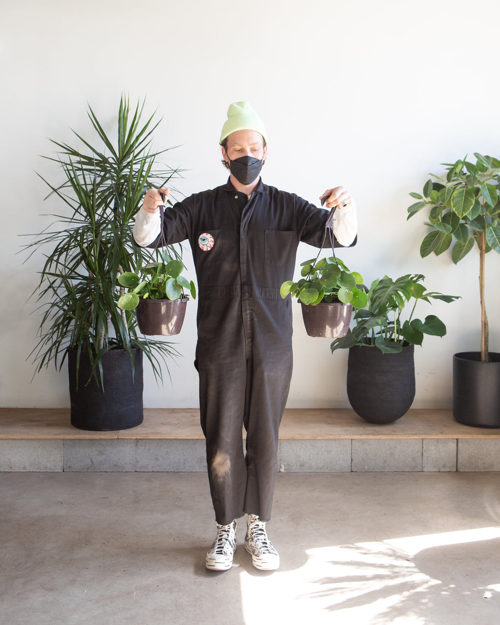 PILEA PEPEROMIOIDES’ 8" HANGING BASKET