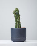 8 Inch REVIVAL CERAMICS ROUND TWO - BLACK - Small