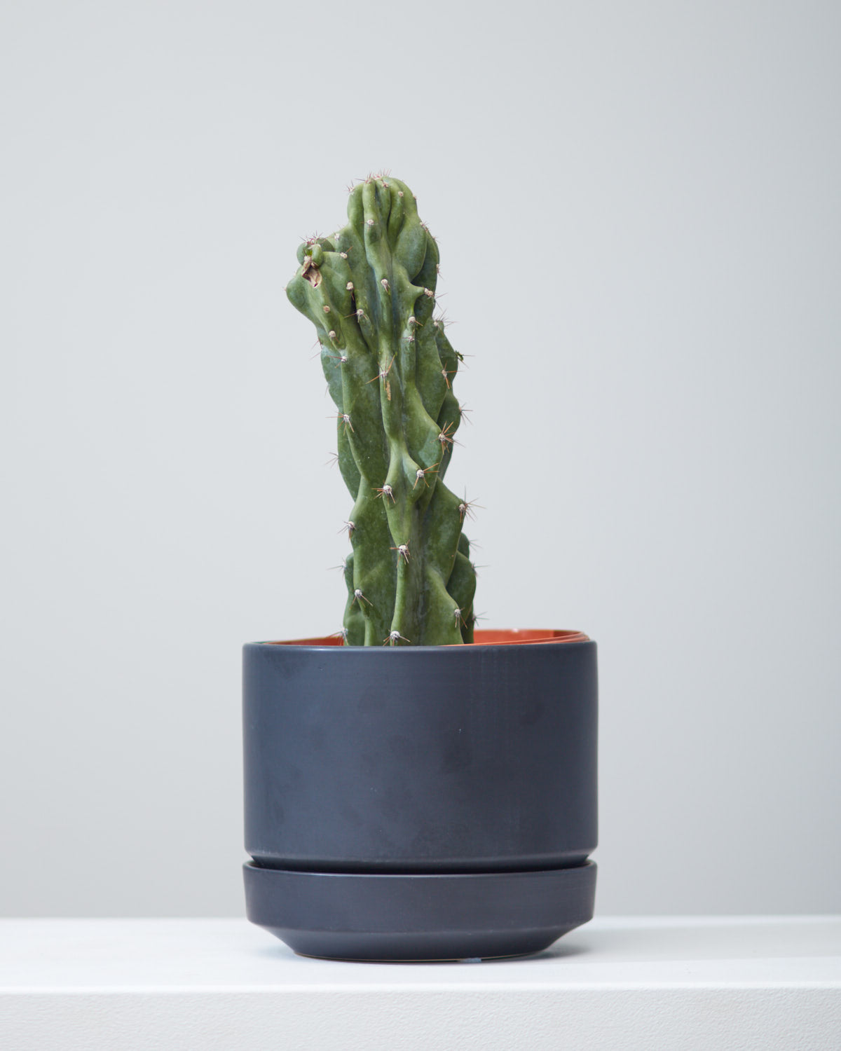 8 Inch REVIVAL CERAMICS ROUND TWO - BLACK - Small