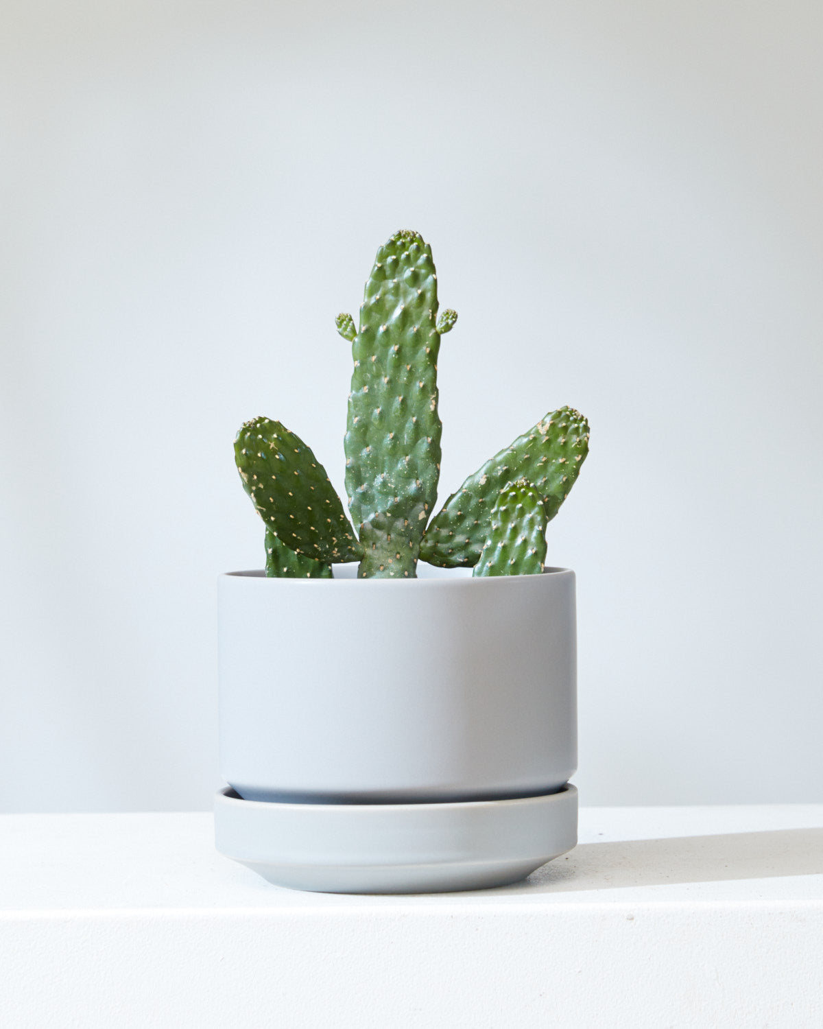 6 Inch REVIVAL CERAMICS ROUND TWO - GREY - Small