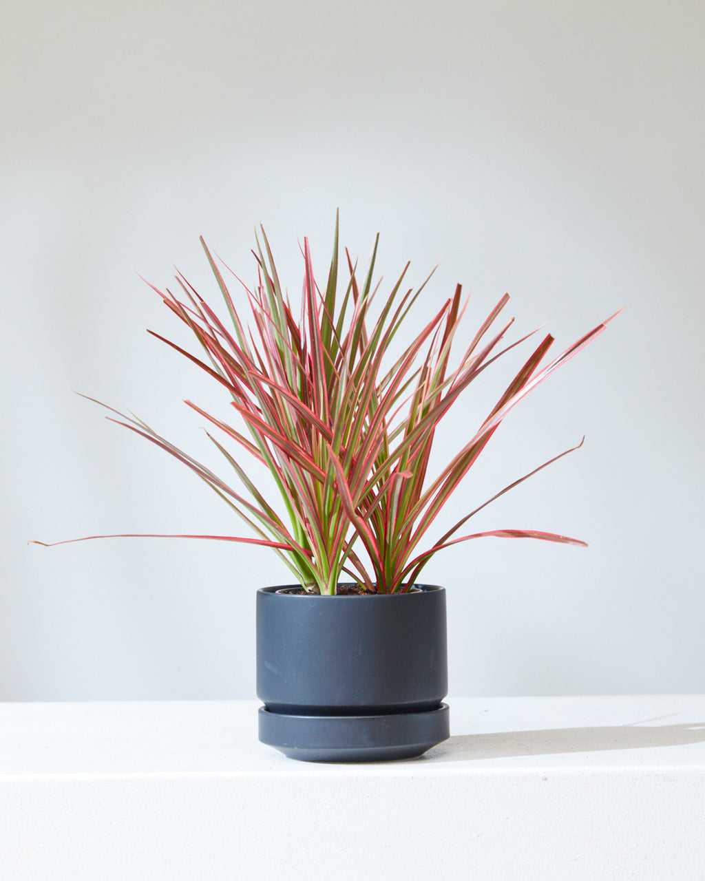 4 Inch REVIVAL CERAMICS ROUND TWO - BLACK - Small