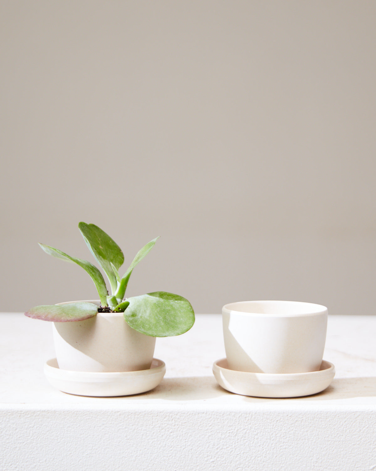 KANSO MINI PLANTER Bamboo Fibre, Small 3 Inch