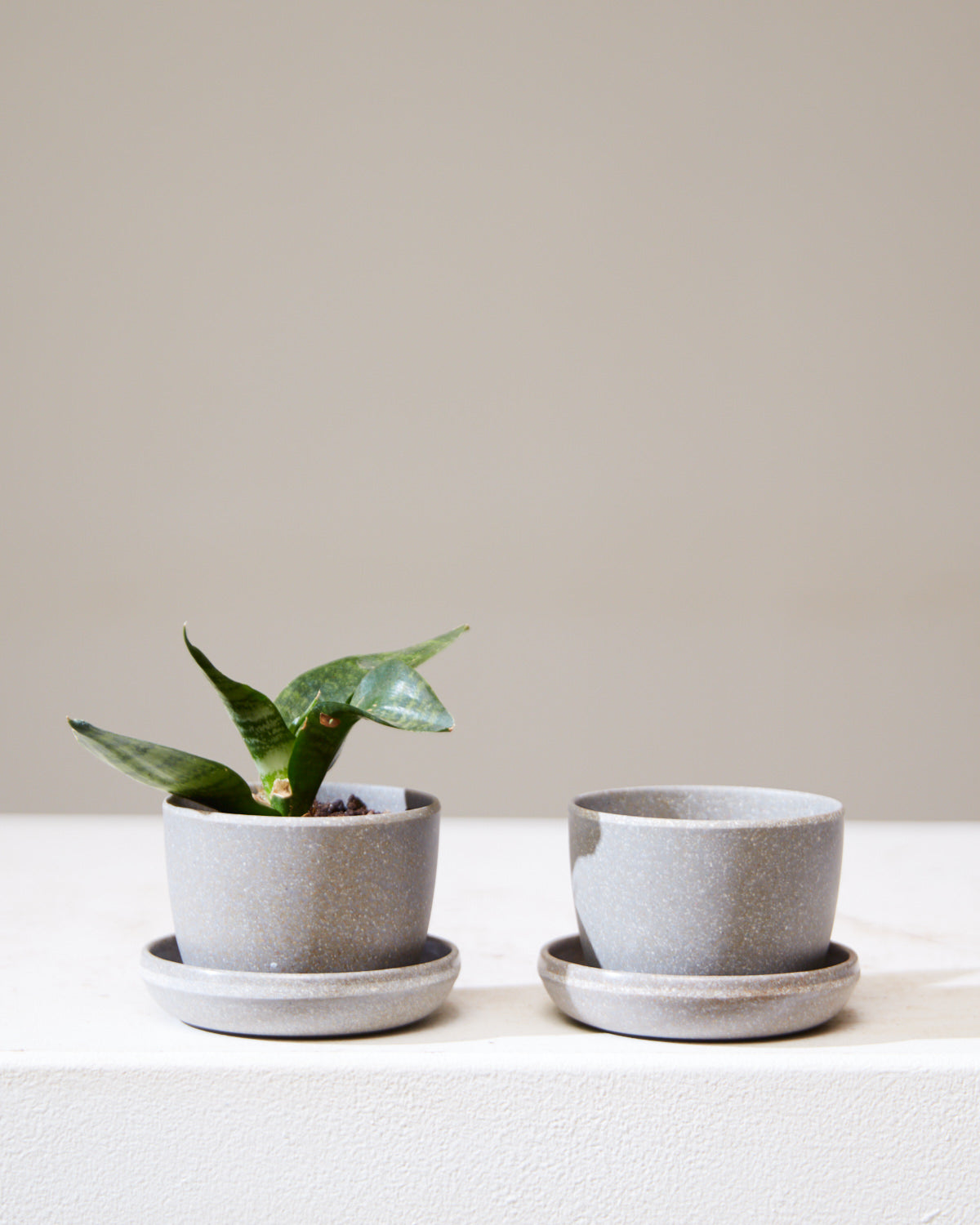 KANSO MINI PLANTER Wheat Husk, Small 3 Inch