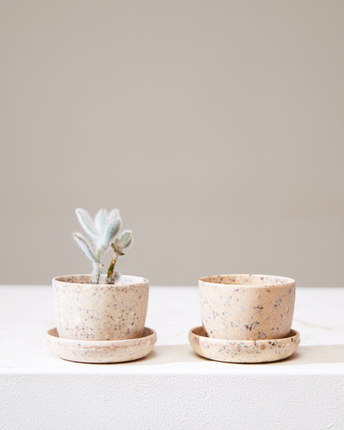 KANSO MINI PLANTER Coffee Bean Husk, Small 3 Inch