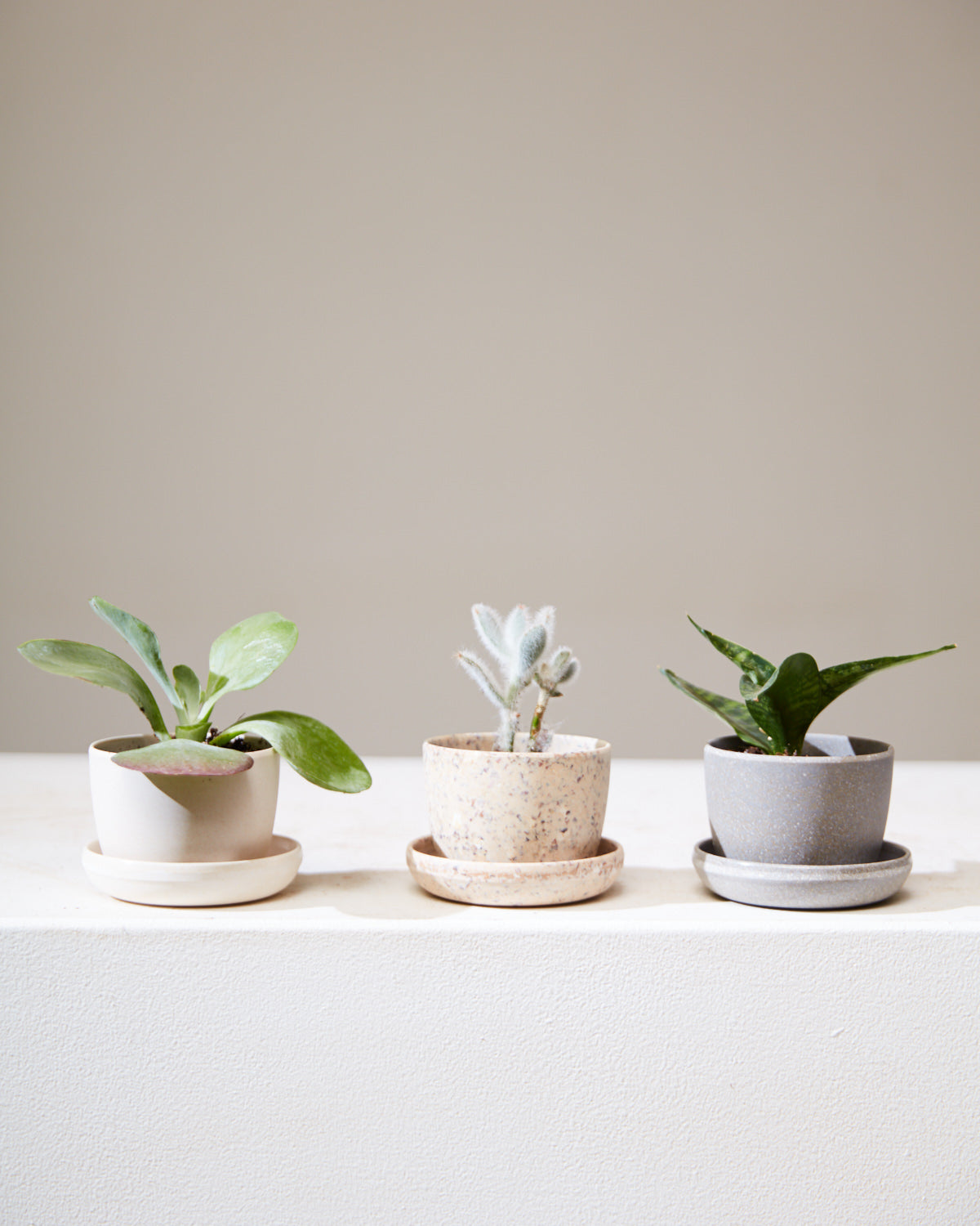 KANSO MINI PLANTER Coffee Bean Husk, Small 3 Inch
