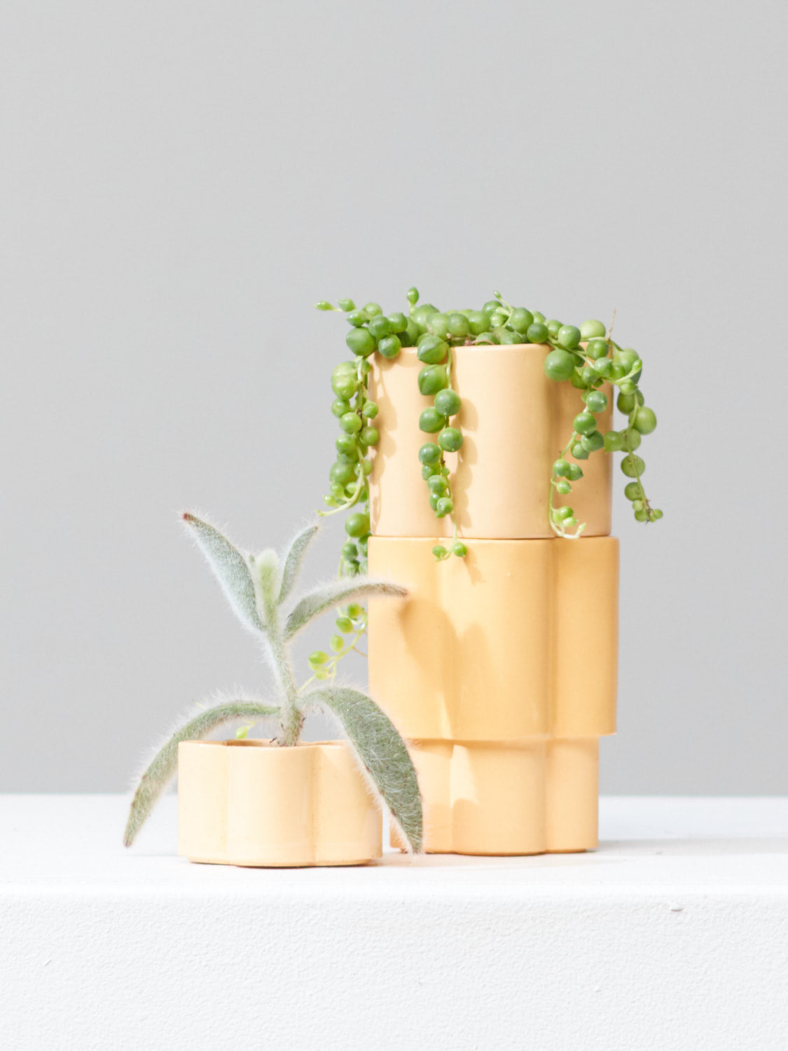 HIGH NOON ARTIST EDITION PLANTER - TANGERINE, Small 3 Inch
