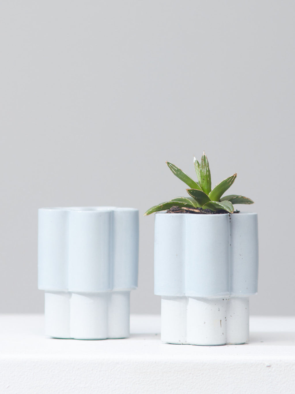 HIGH NOON ARTIST EDITION PLANTER - BABY, Small 3 Inch