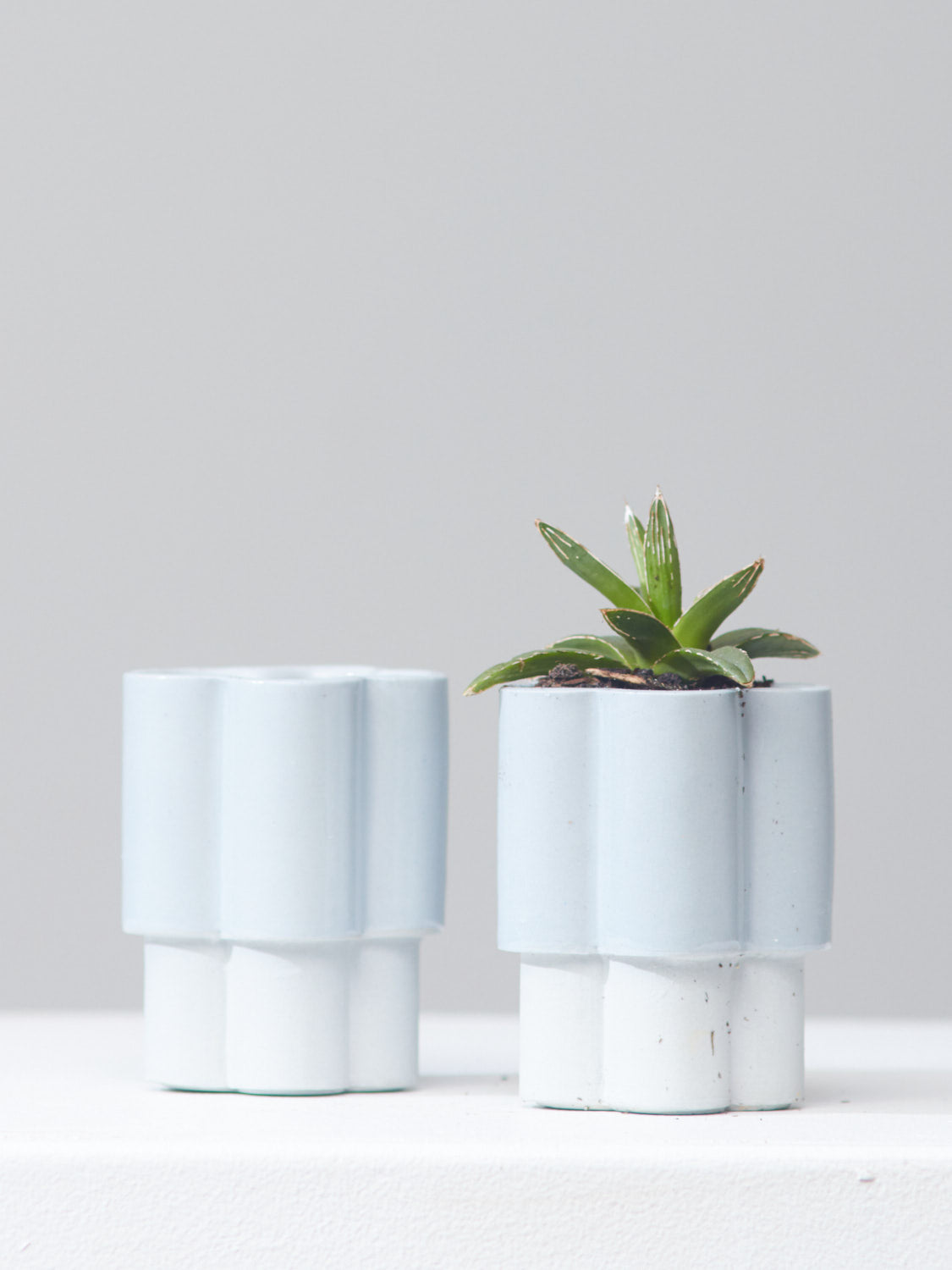HIGH NOON ARTIST EDITION PLANTER - BABY, Small 3 Inch