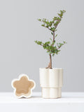 *PRE-ORDER* HIGH NOON ARTIST EDITION PLANTER - OAT MILK, Small 3 Inch