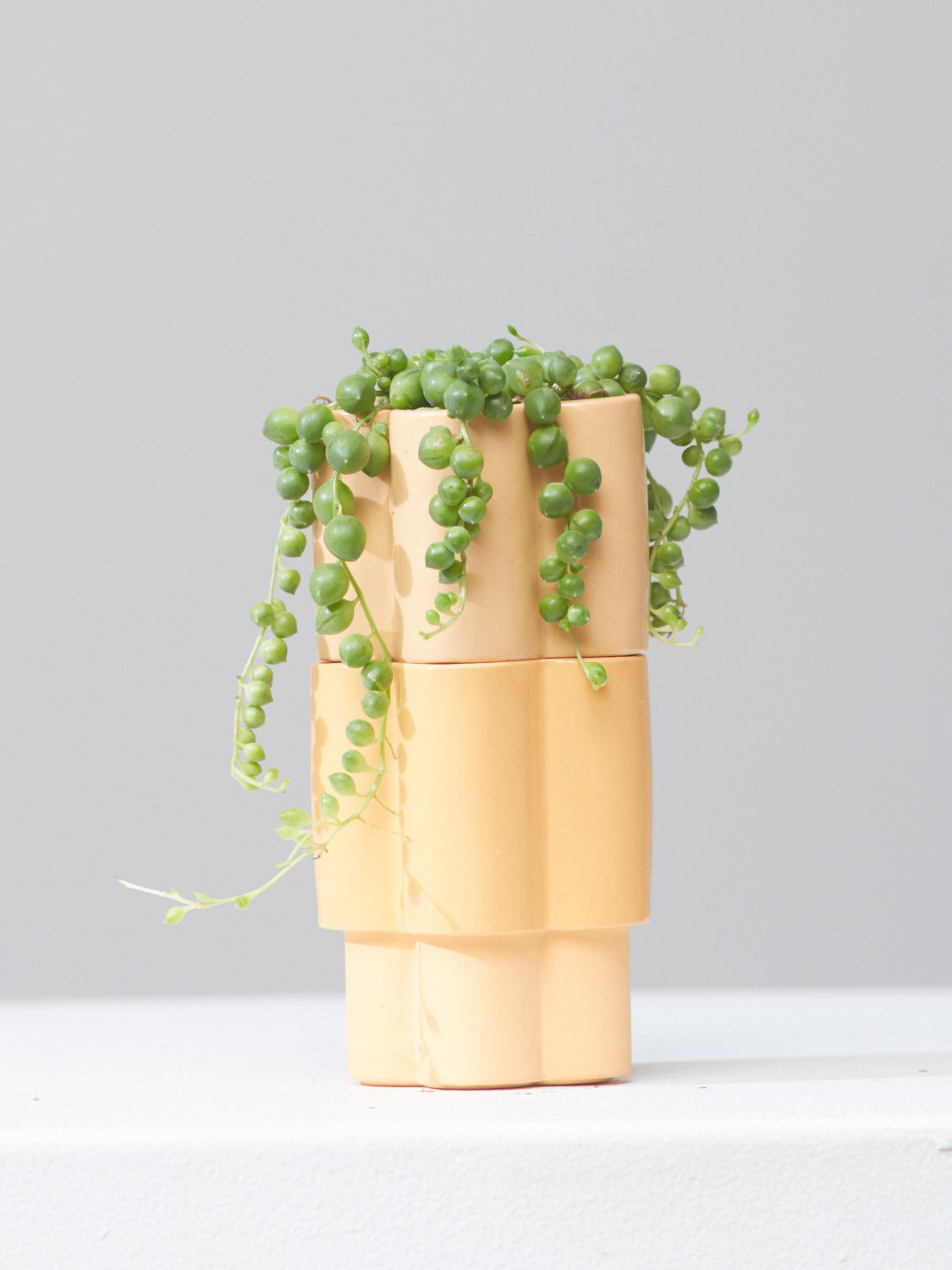HIGH NOON ARTIST EDITION PLANTER - TANGERINE, Small 3 Inch