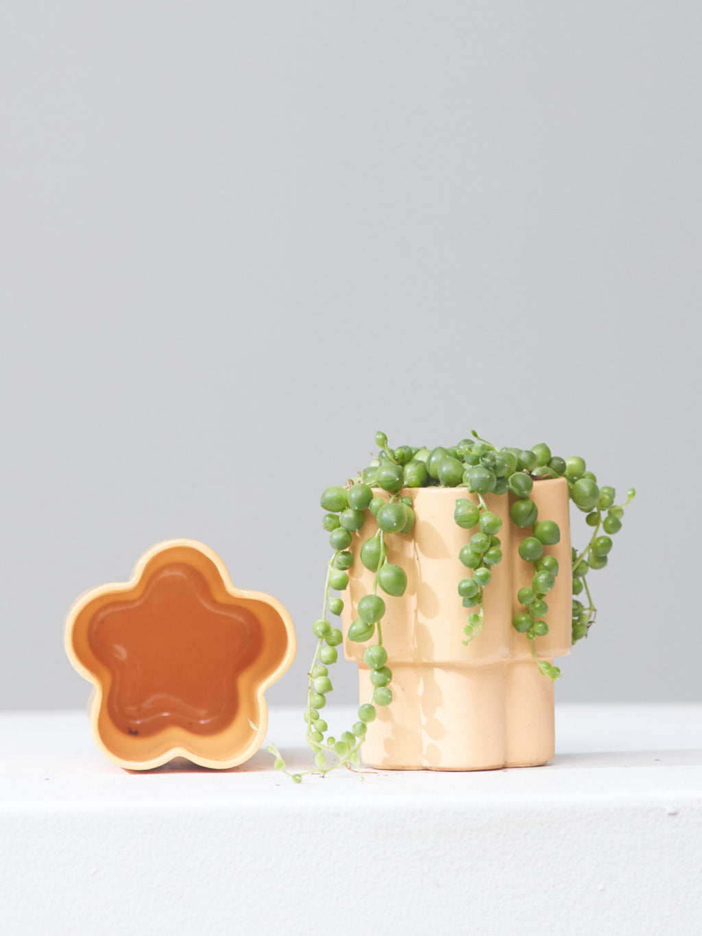 HIGH NOON ARTIST EDITION PLANTER - TANGERINE, Small 3 Inch