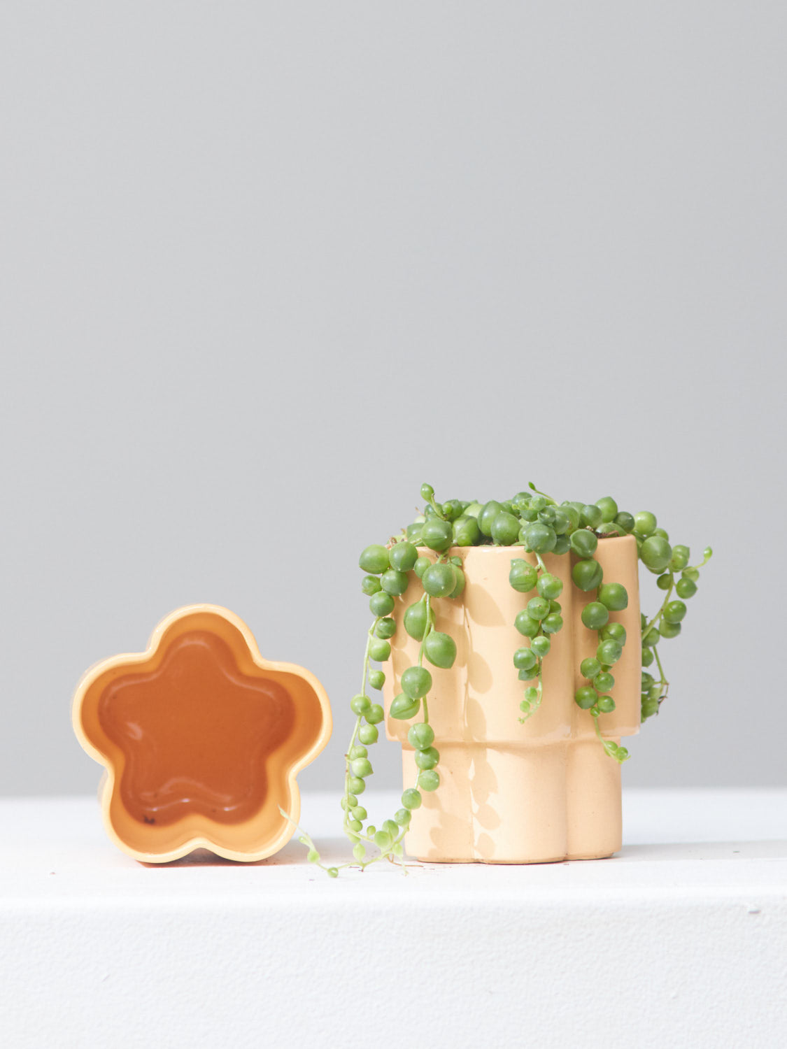 HIGH NOON ARTIST EDITION PLANTER - TANGERINE, Small 3 Inch